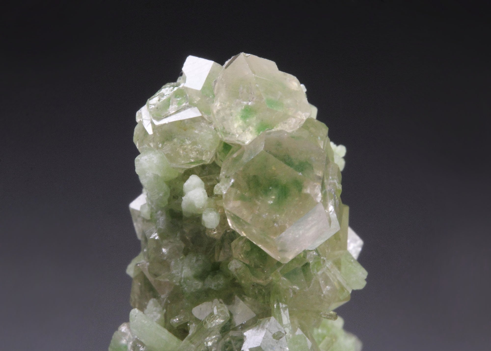 gem GARNET var. GROSSULAR with GREEN CHROMIAN PHANTOMS, DIOPSIDE