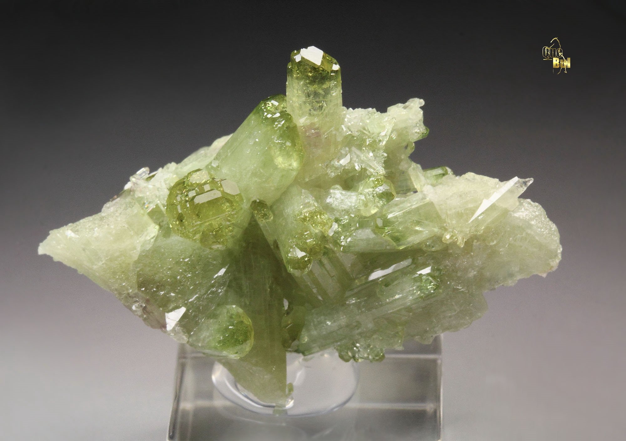 gem VESUVIANITE