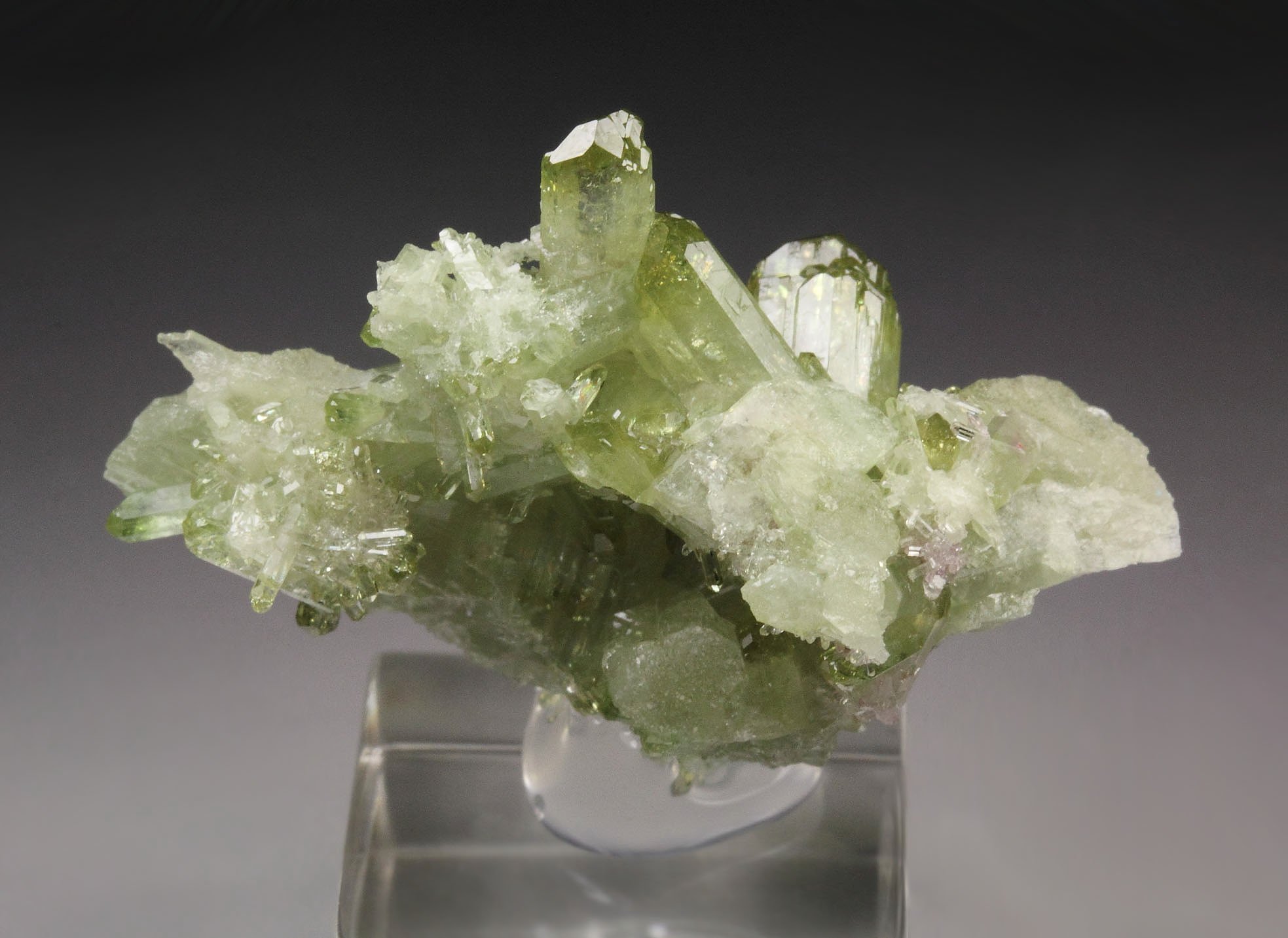 gem VESUVIANITE