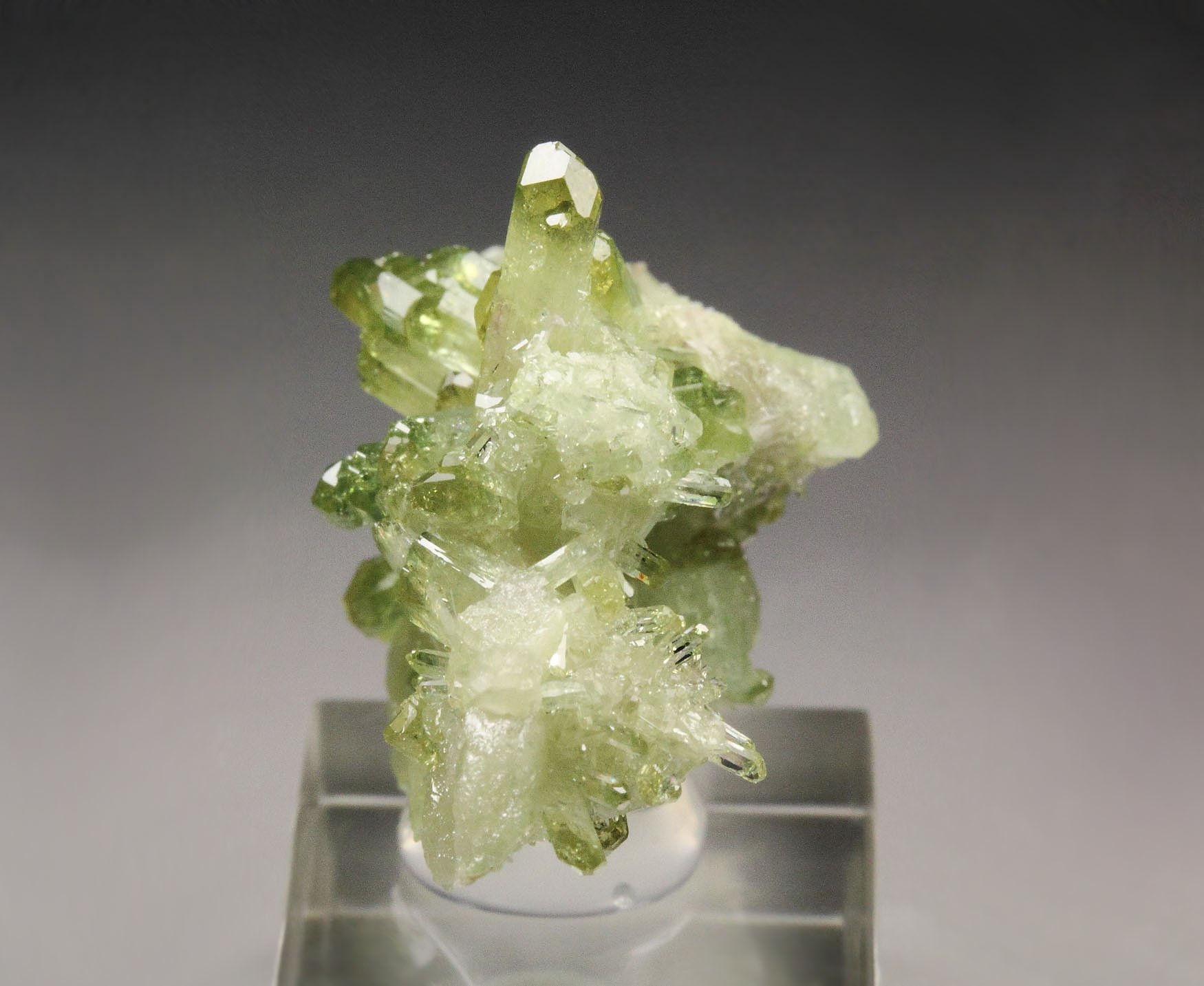 gem VESUVIANITE