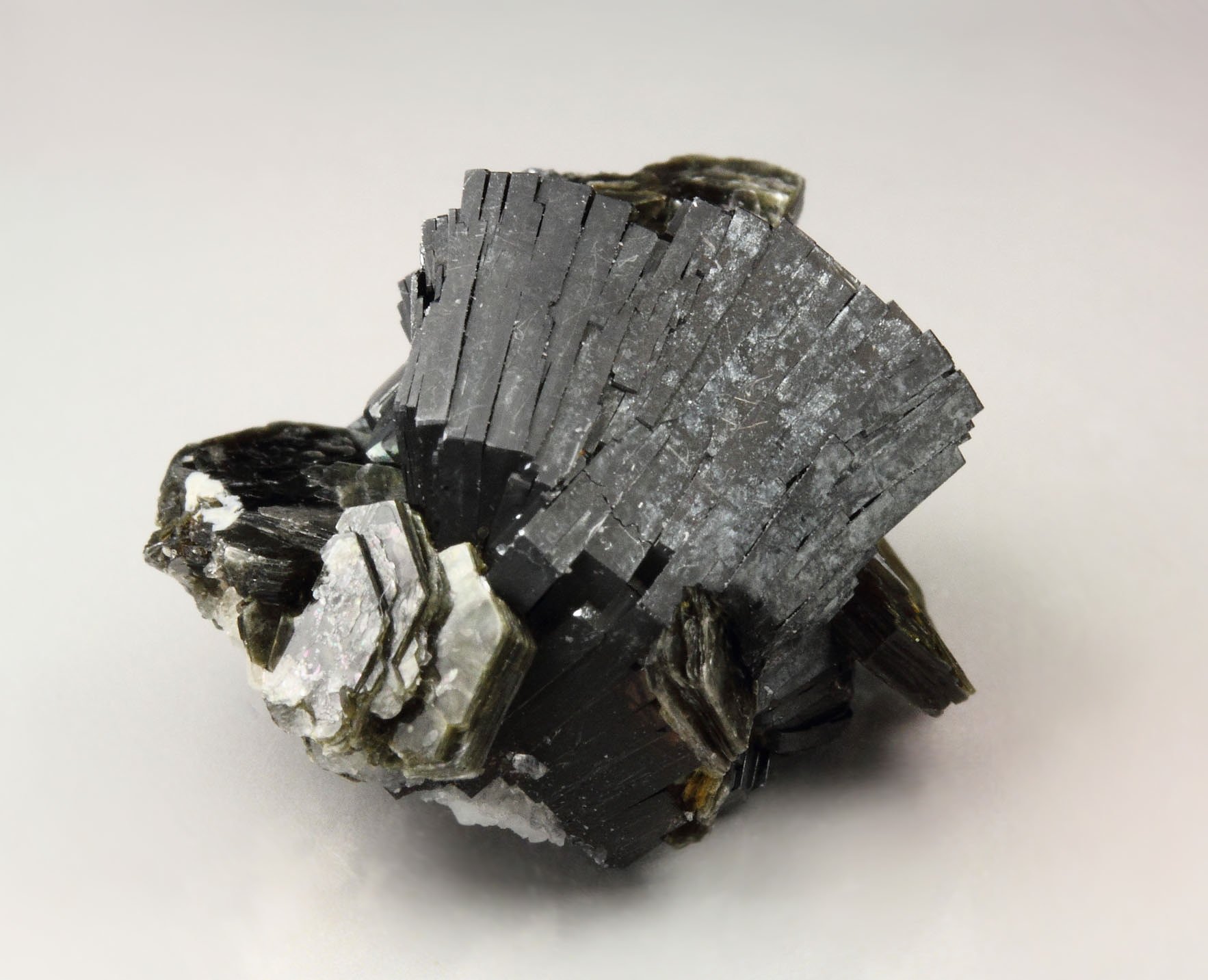 HEMATITE var. IRON ROSE