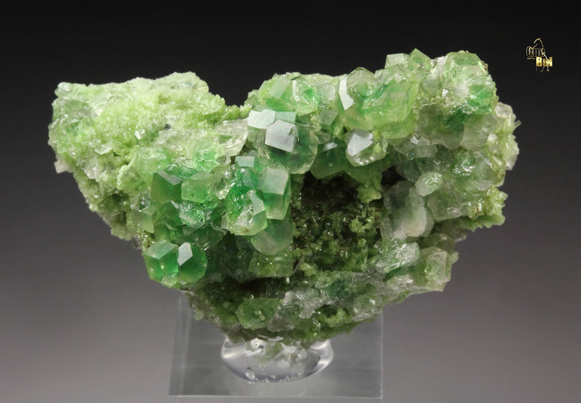 gem GARNET var. GROSSULAR with GREEN CHROMIAN PHANTOMS, DIOPSIDE