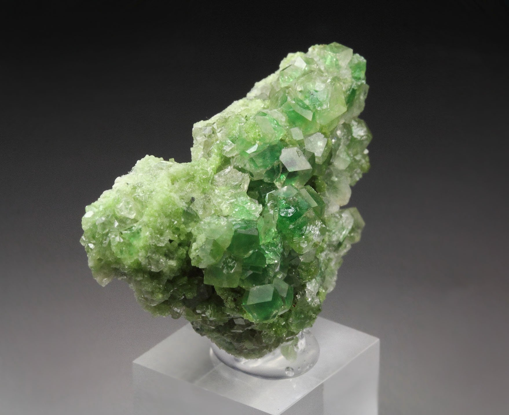 gem GARNET var. GROSSULAR with GREEN CHROMIAN PHANTOMS, DIOPSIDE