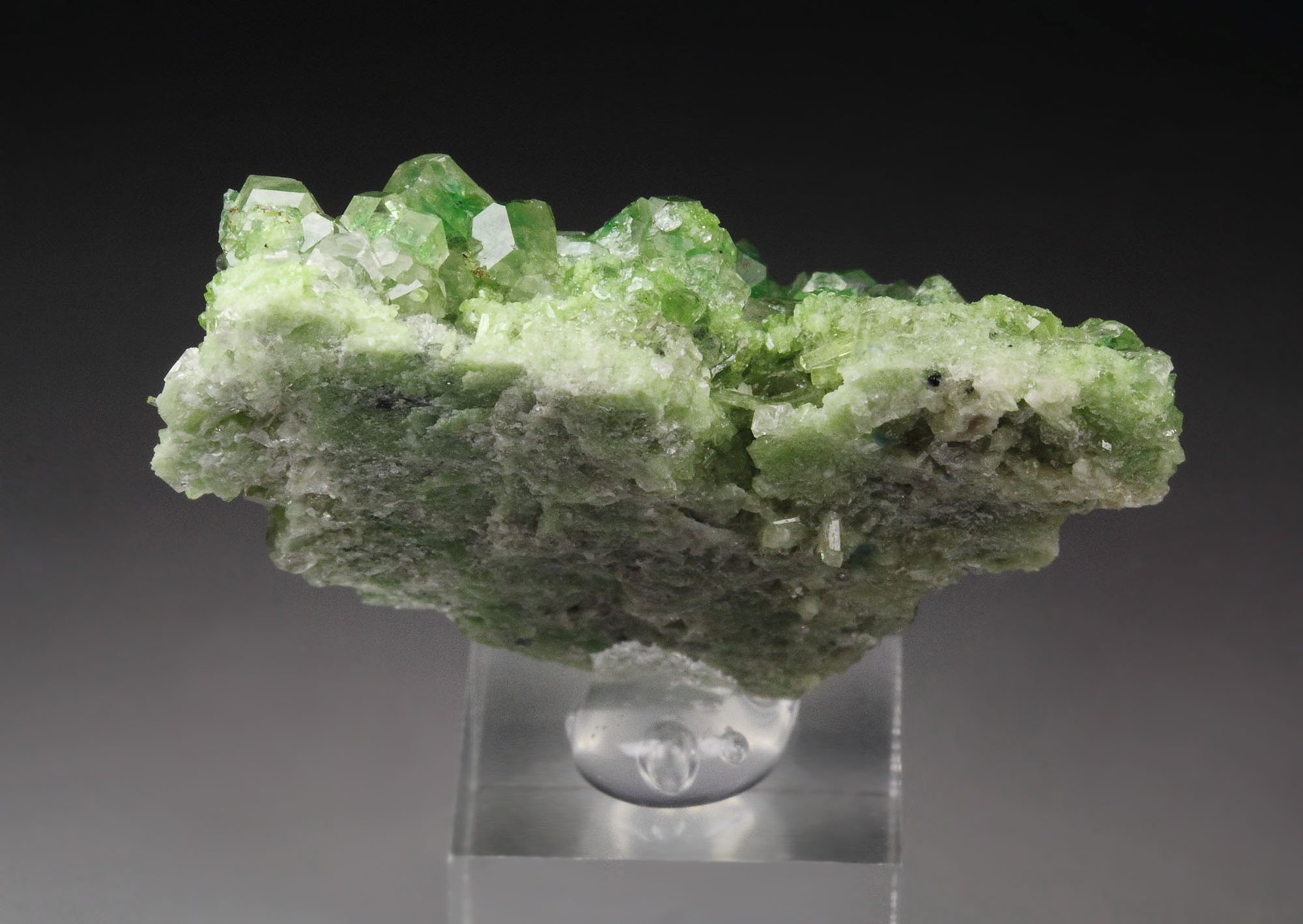 gem GARNET var. GROSSULAR with GREEN CHROMIAN PHANTOMS, DIOPSIDE