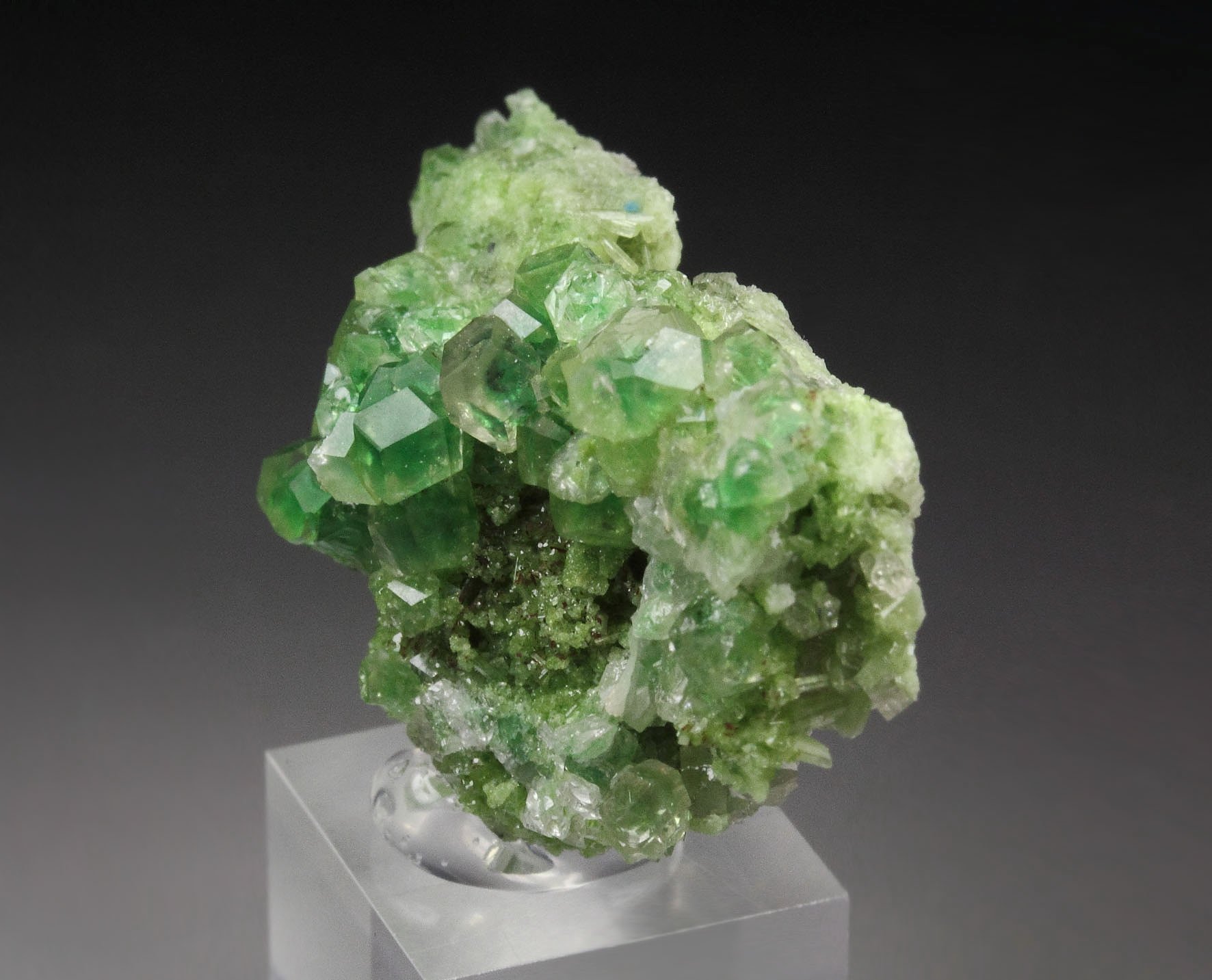 gem GARNET var. GROSSULAR with GREEN CHROMIAN PHANTOMS, DIOPSIDE