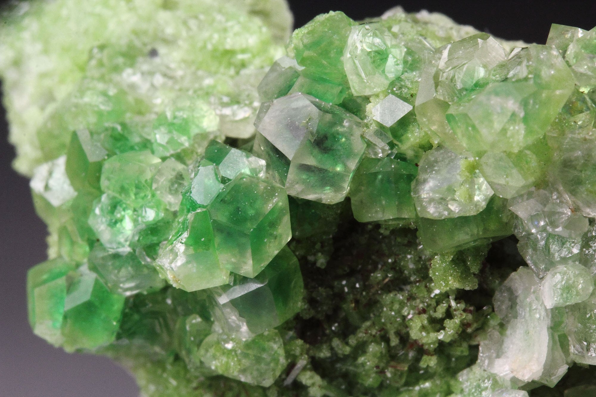 gem GARNET var. GROSSULAR with GREEN CHROMIAN PHANTOMS, DIOPSIDE