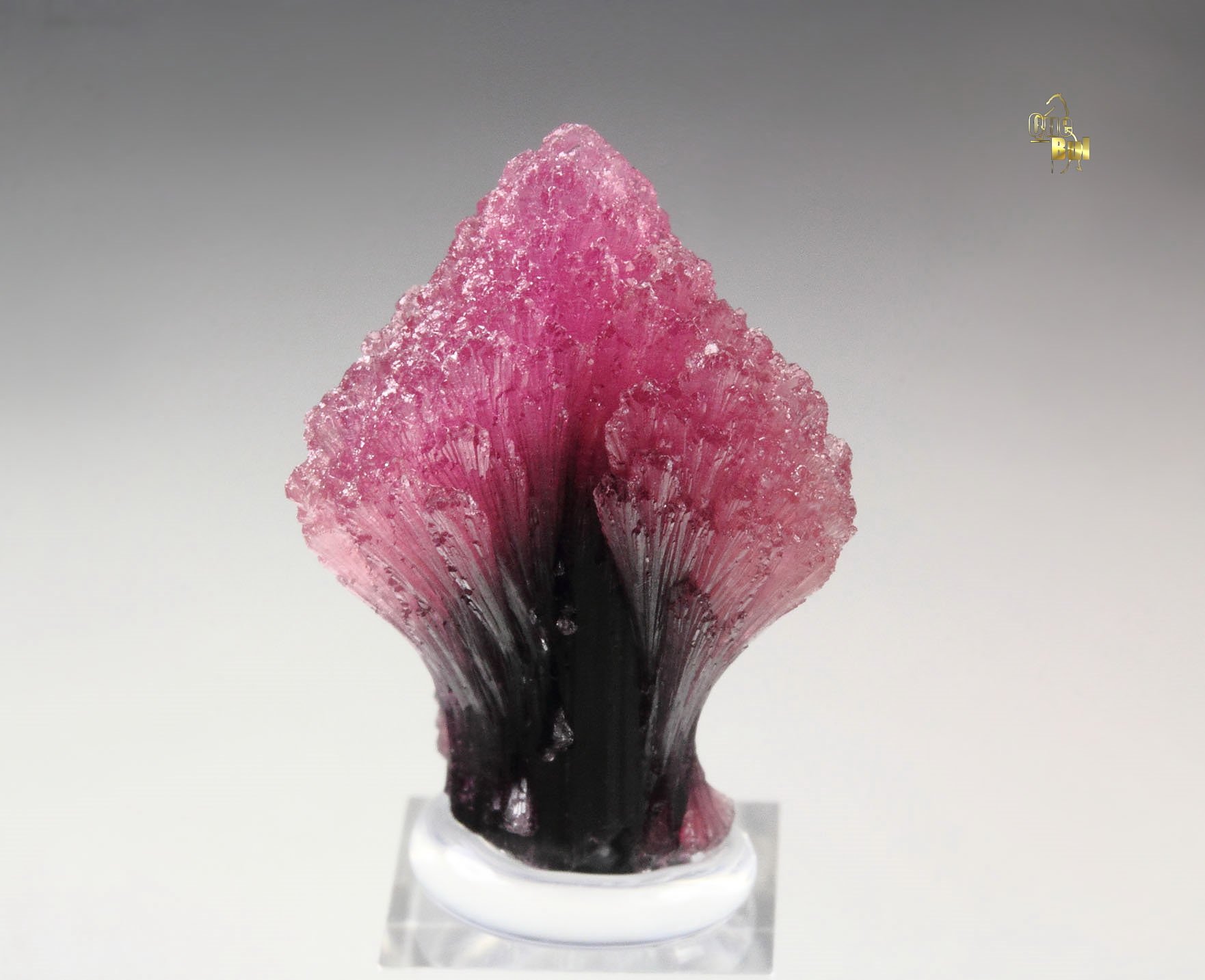 TOURMALINE var. RUBELLITE