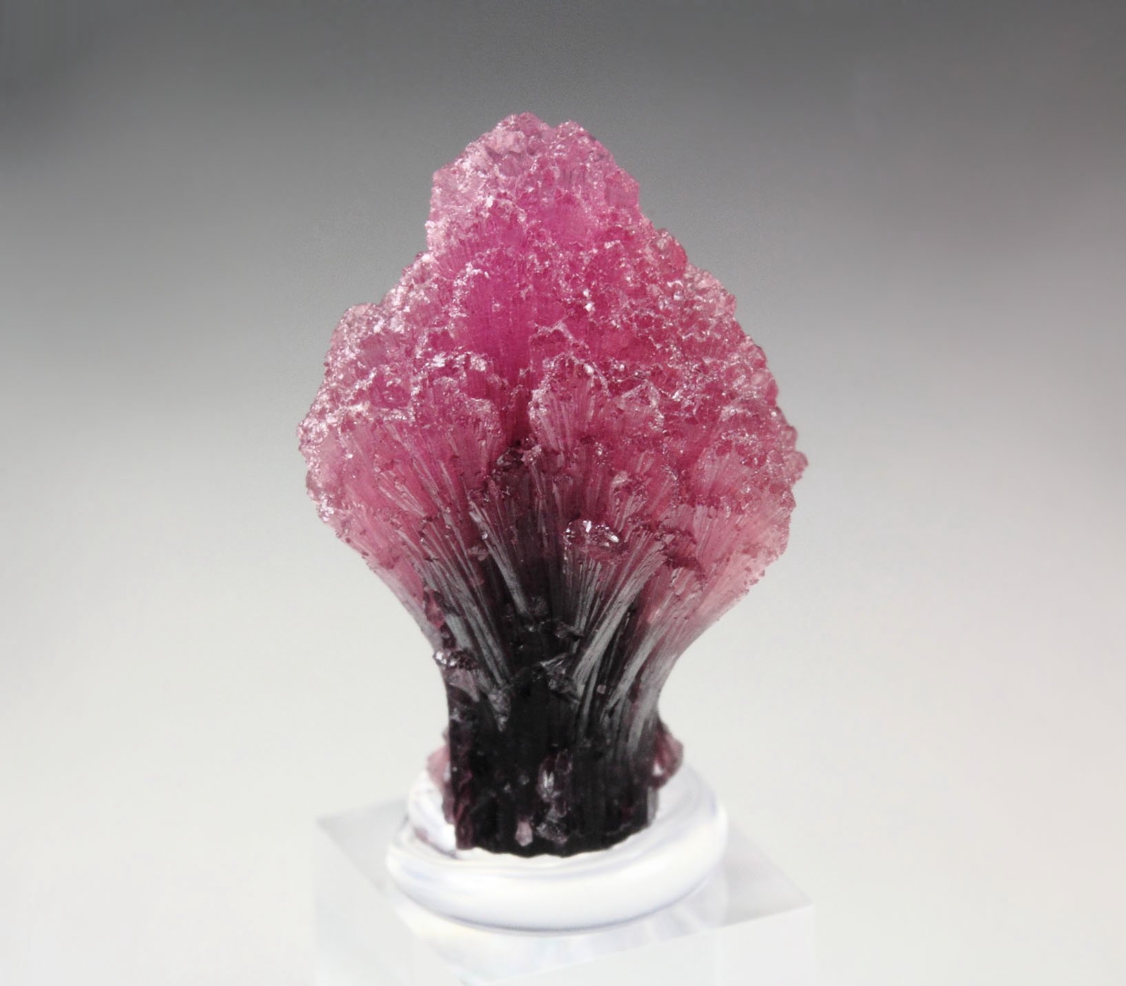 TOURMALINE var. RUBELLITE