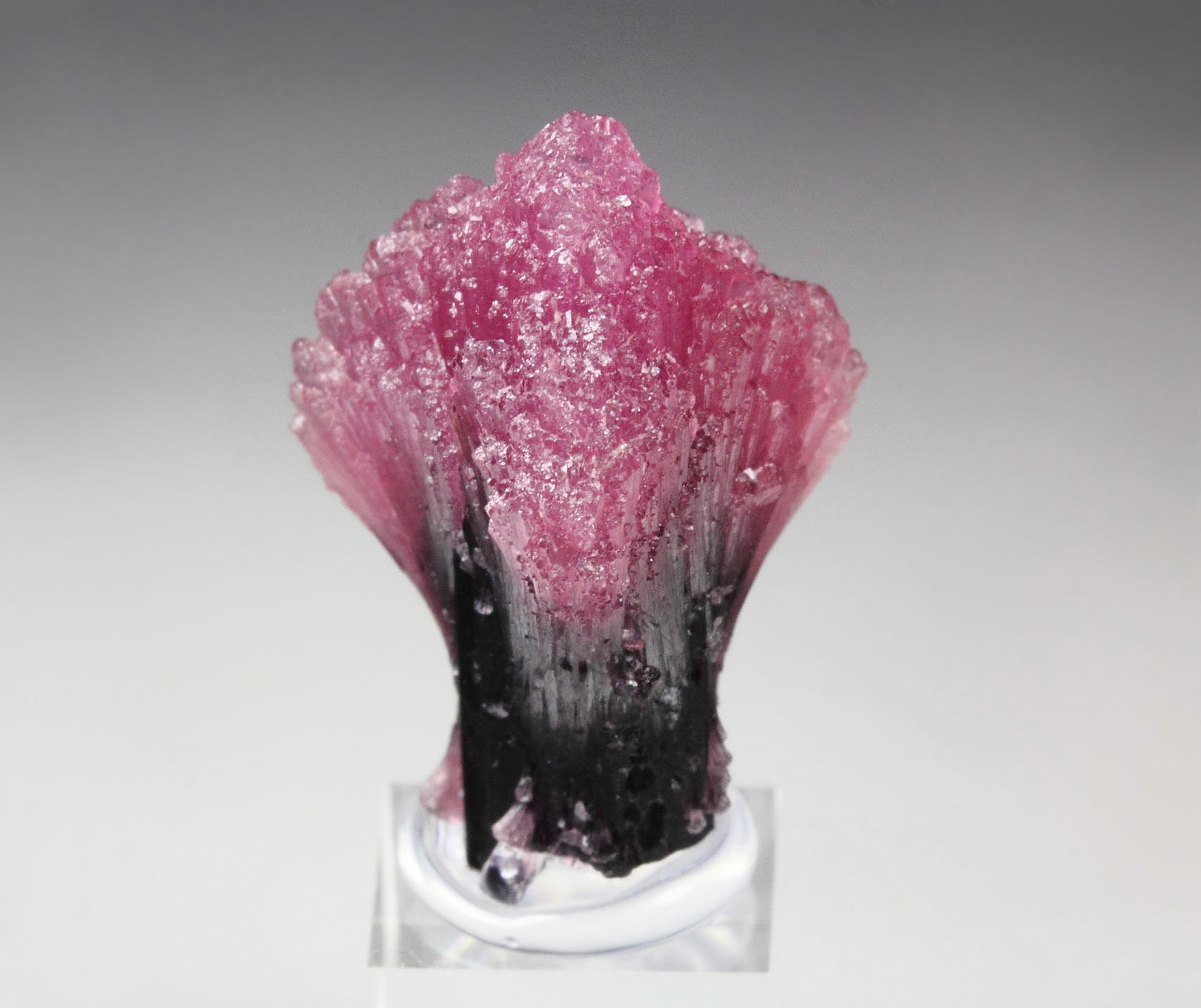 TOURMALINE var. RUBELLITE