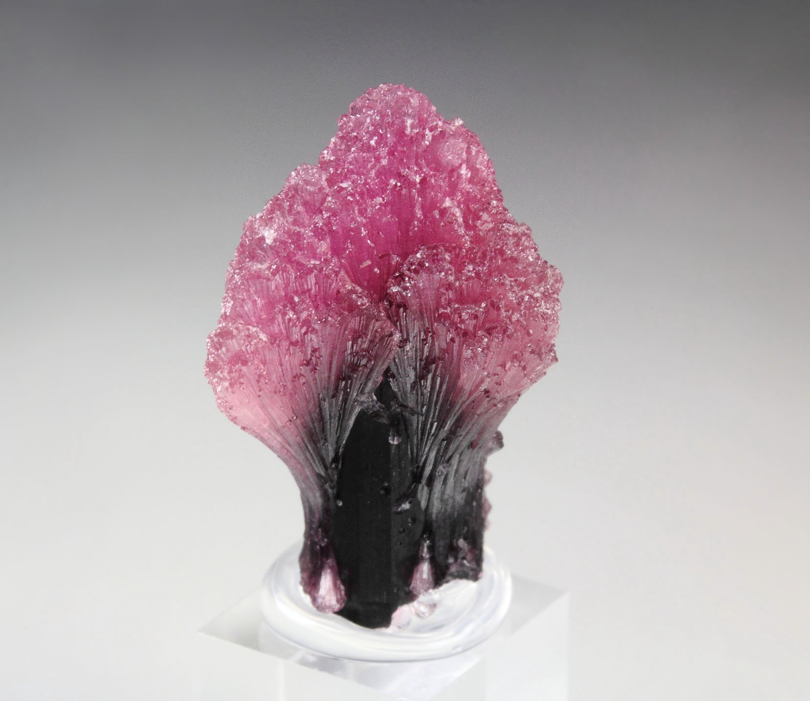 TOURMALINE var. RUBELLITE