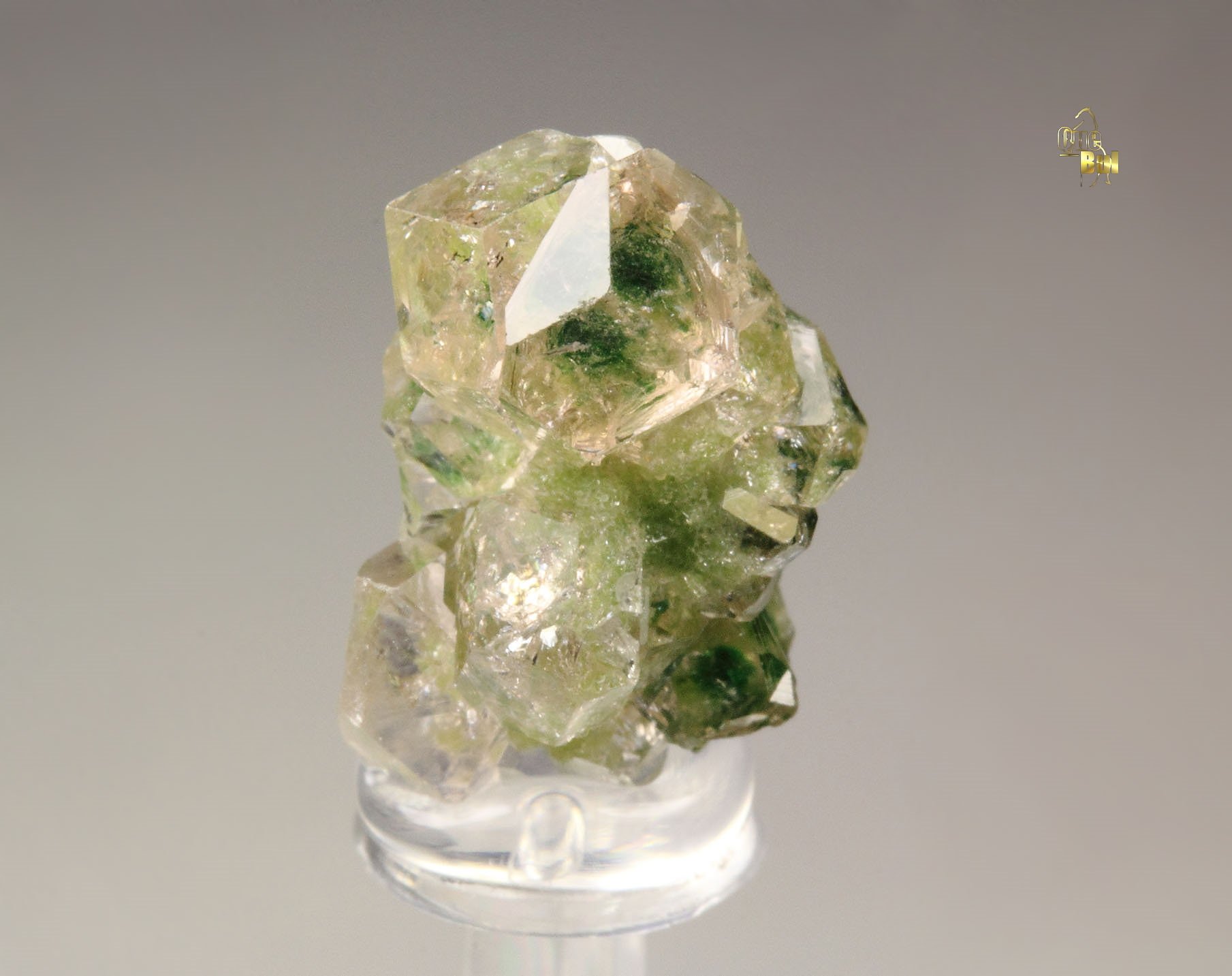gem GARNET var. GROSSULAR with GREEN CHROMIAN PHANTOMS