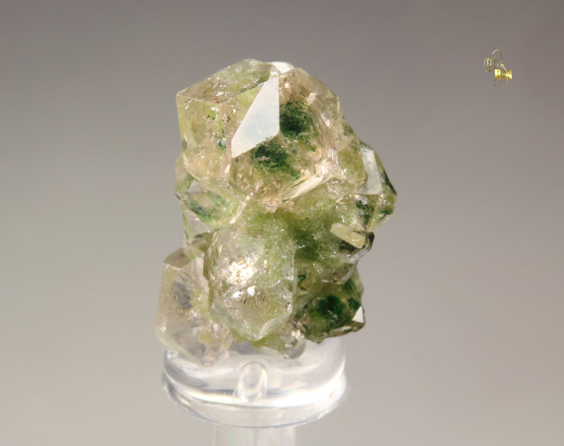 gem GARNET var. GROSSULAR with GREEN CHROMIAN PHANTOMS