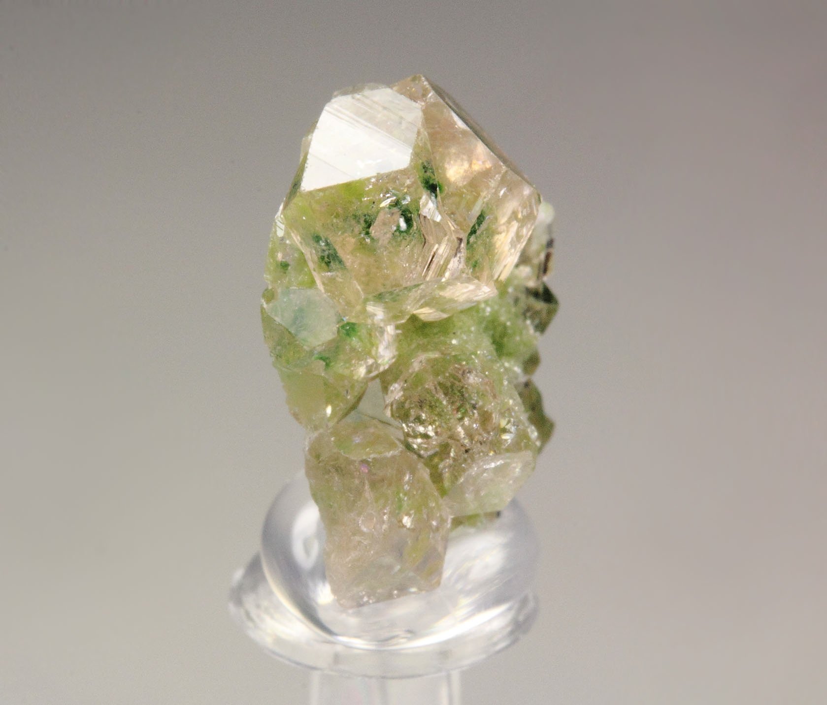 gem GARNET var. GROSSULAR with GREEN CHROMIAN PHANTOMS