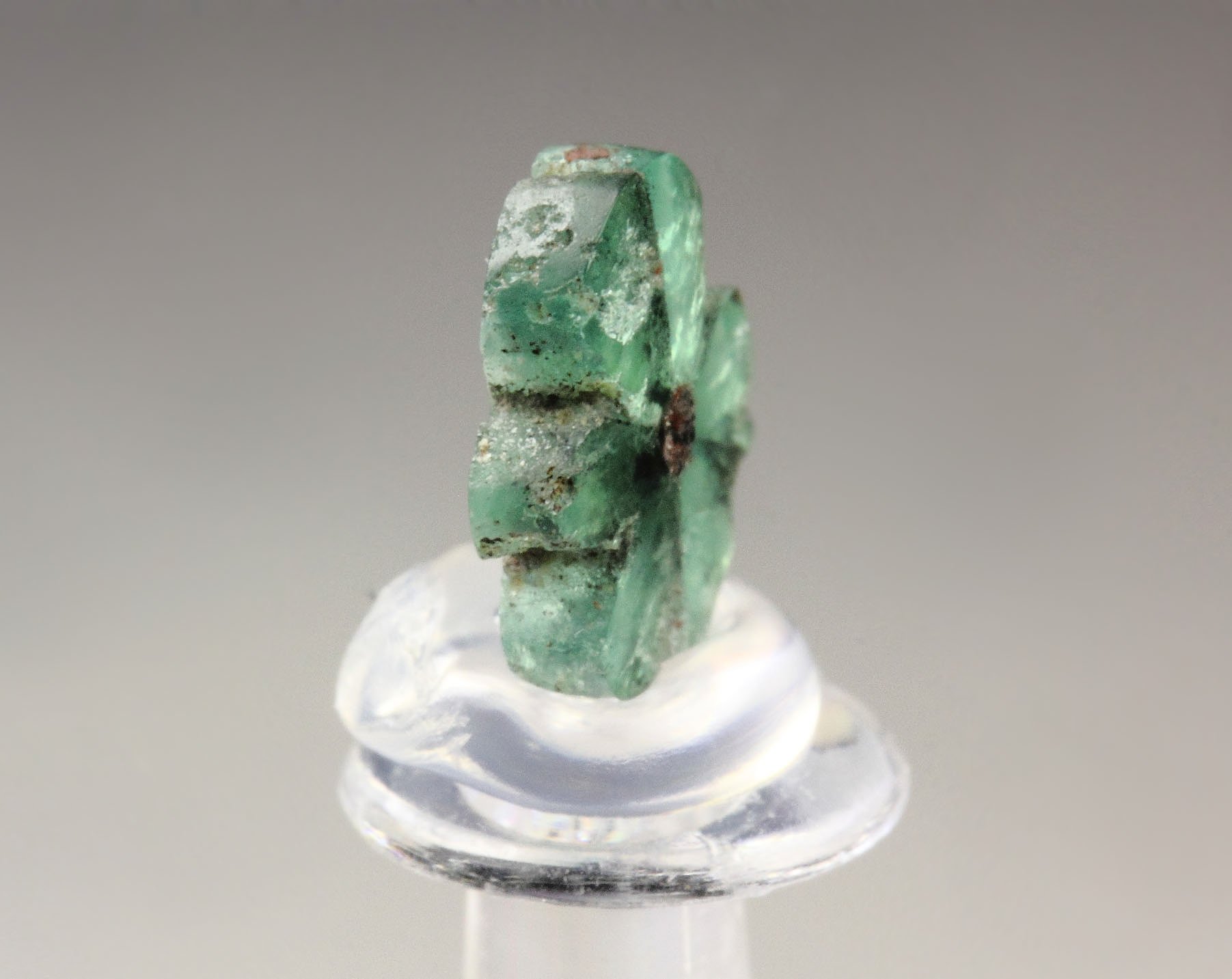 BERYL var. EMERALD - TRAPICHE