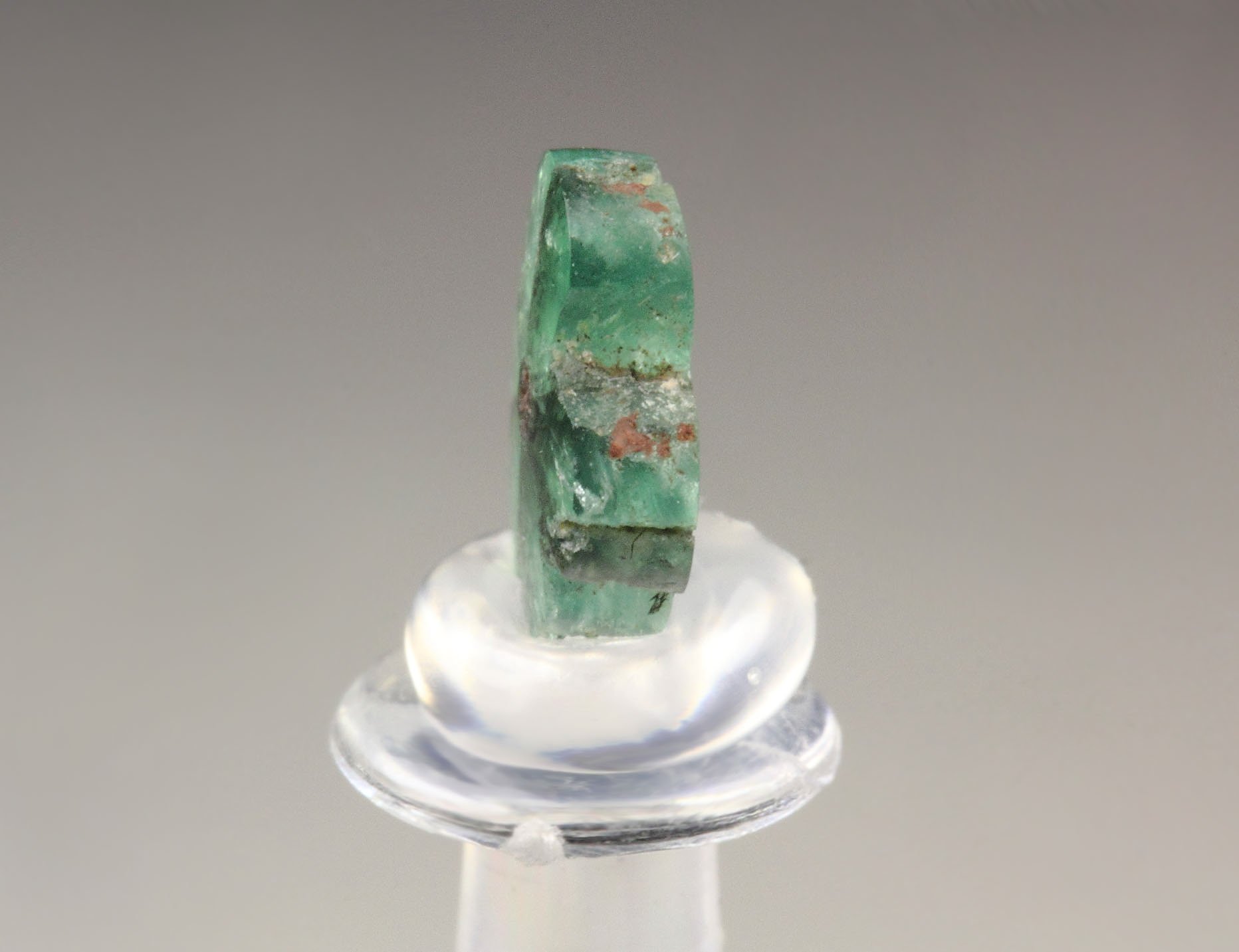 BERYL var. EMERALD - TRAPICHE
