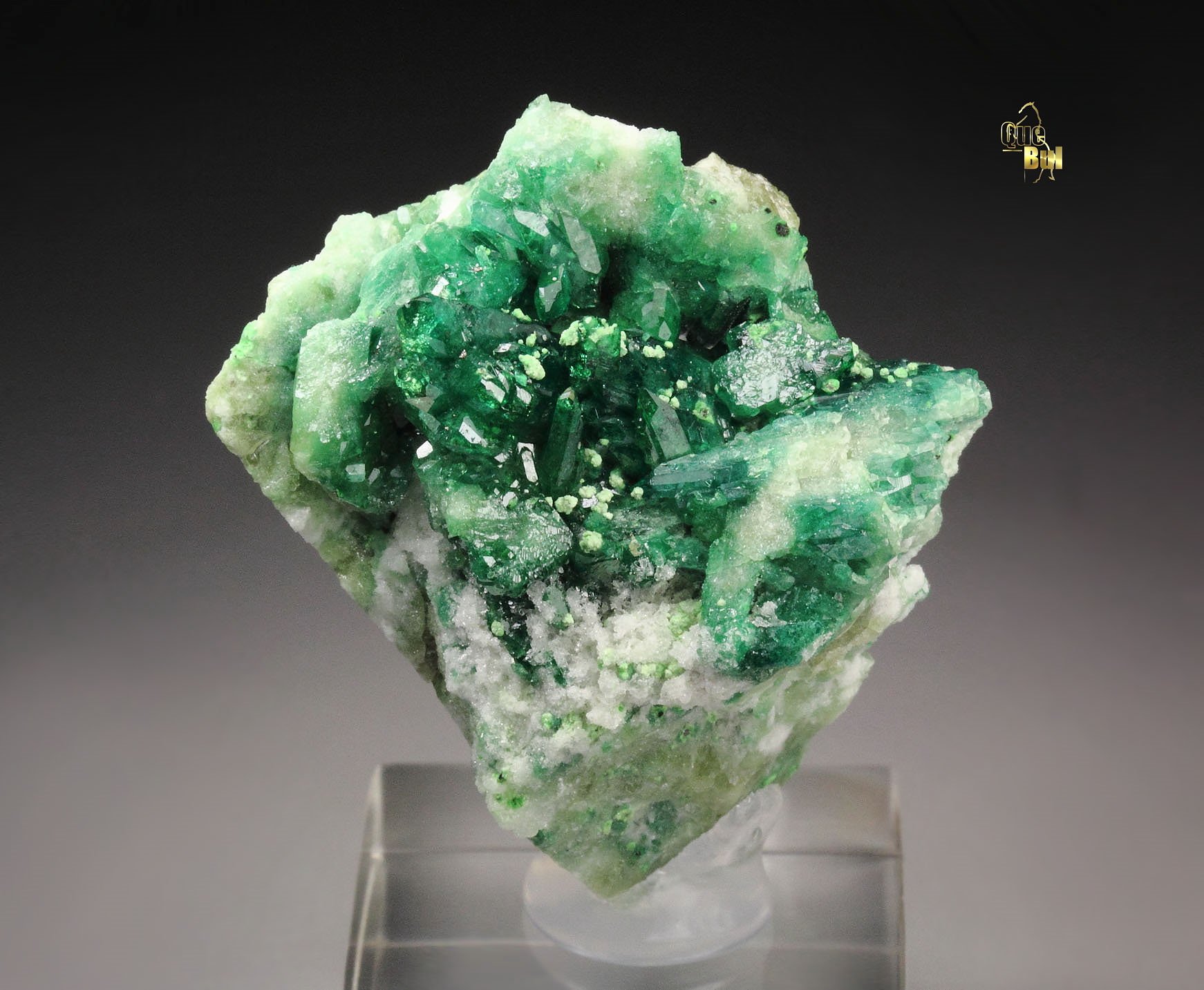 gem VESUVIANITE var. CHROMIAN, DIOPSIDE