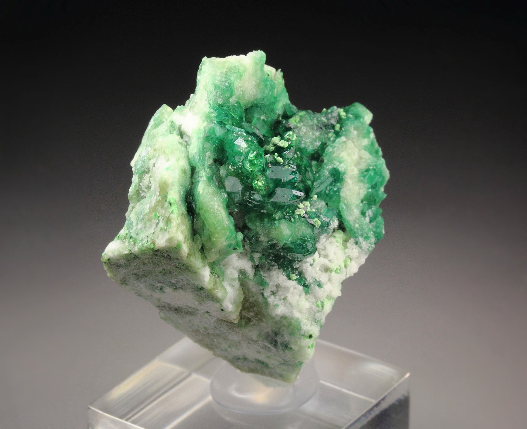 gem VESUVIANITE var. CHROMIAN, DIOPSIDE