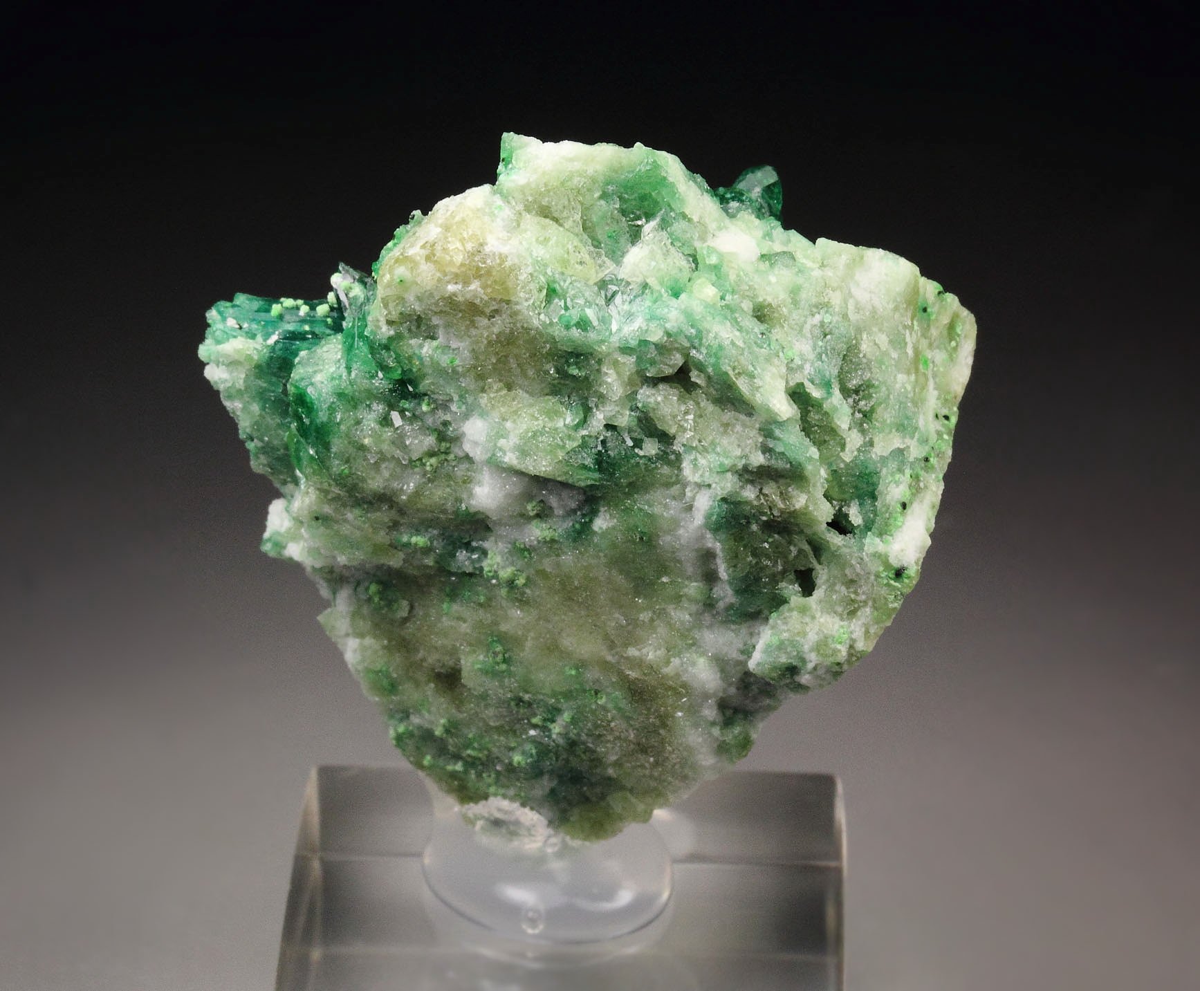 gem VESUVIANITE var. CHROMIAN, DIOPSIDE