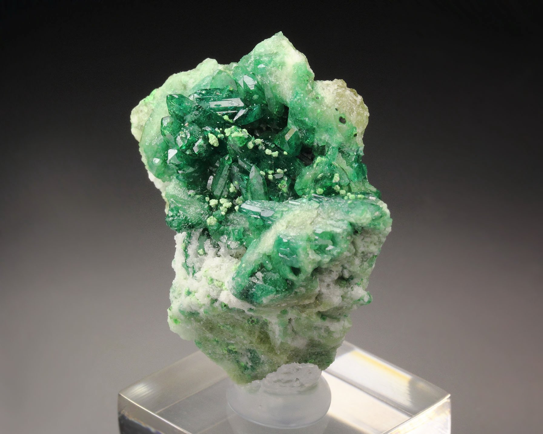 gem VESUVIANITE var. CHROMIAN, DIOPSIDE