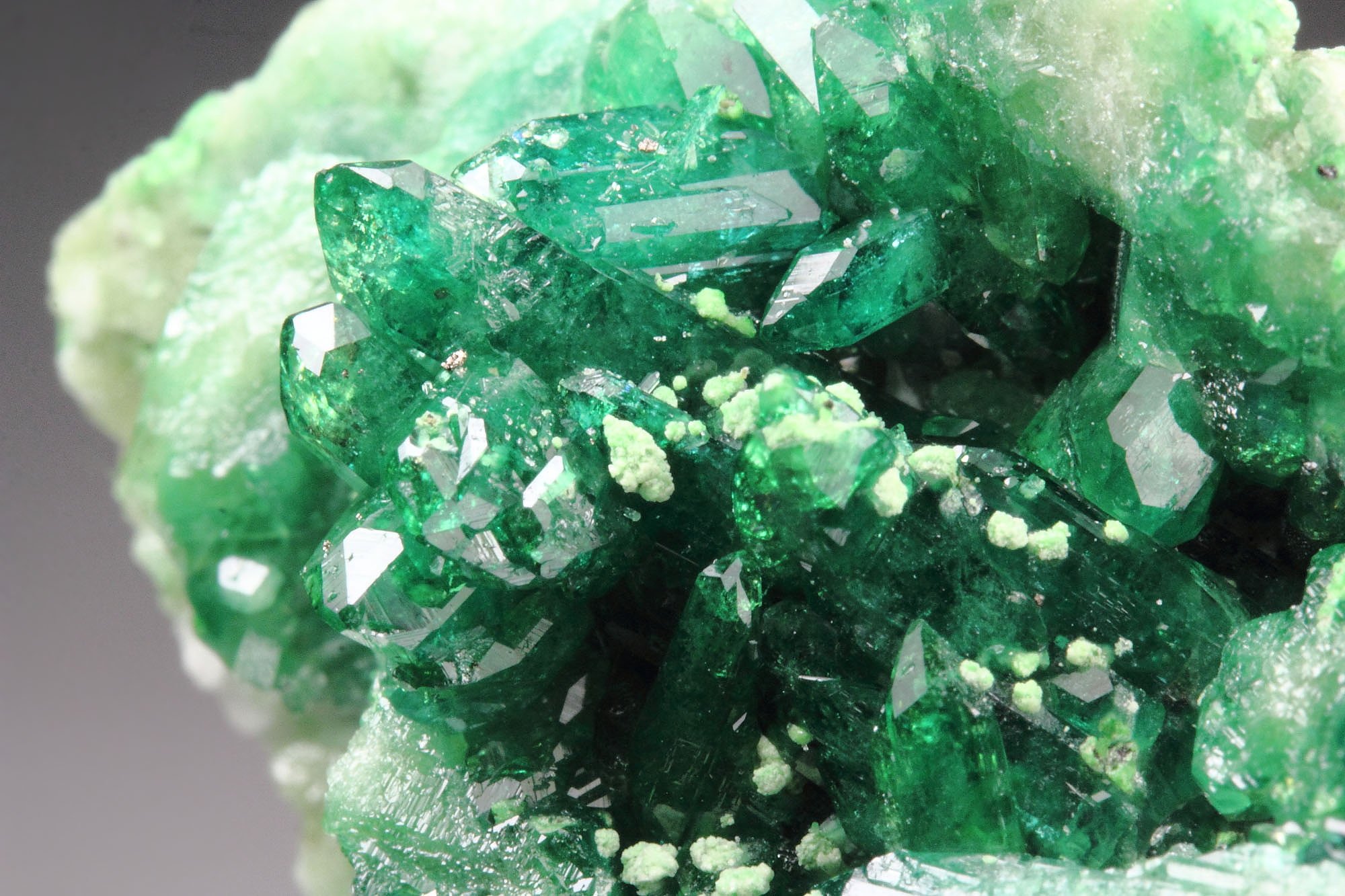 gem VESUVIANITE var. CHROMIAN, DIOPSIDE