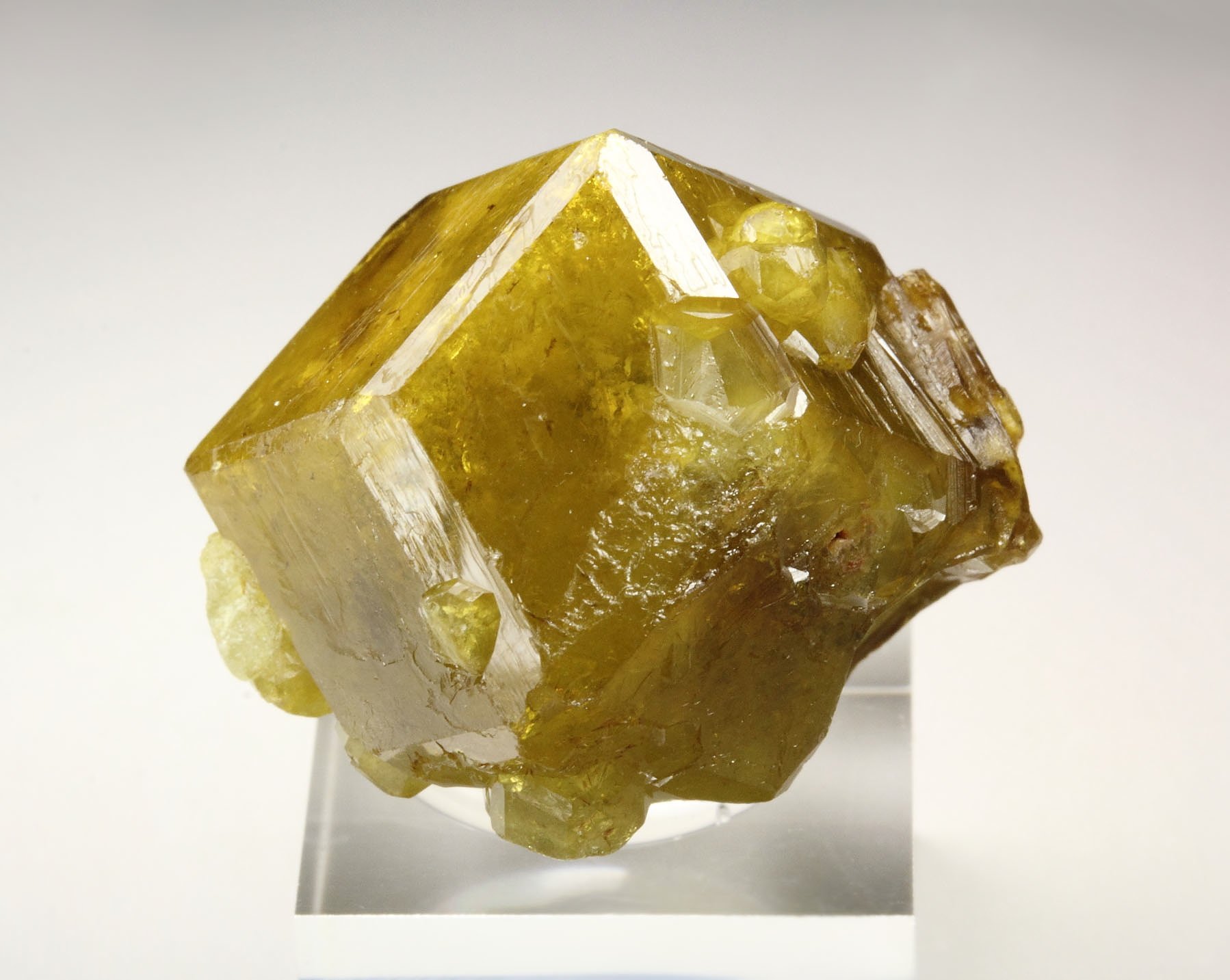 gemmy GARNET var. ANDRADITE