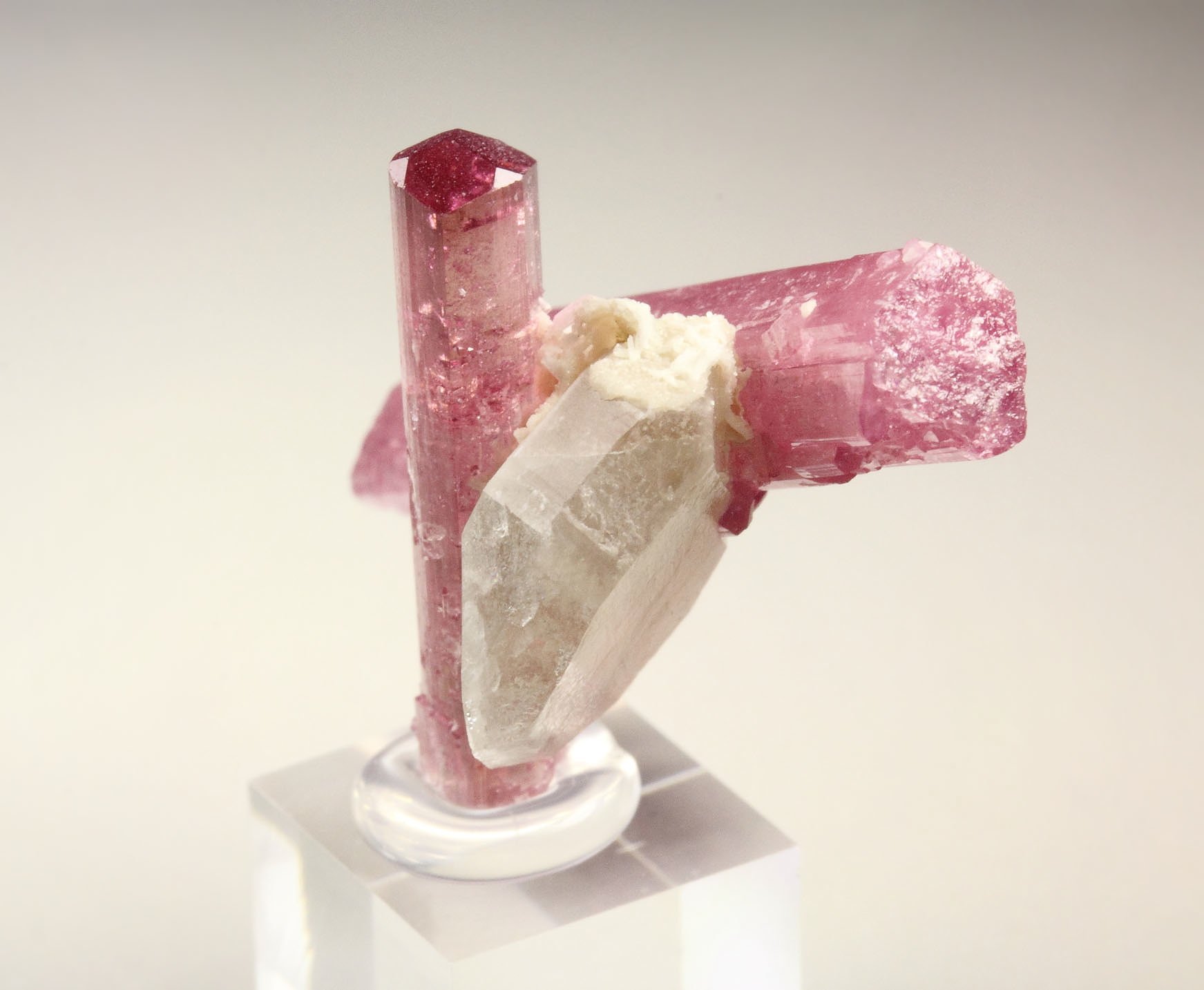 gem TOURMALINE var. ELBAITE