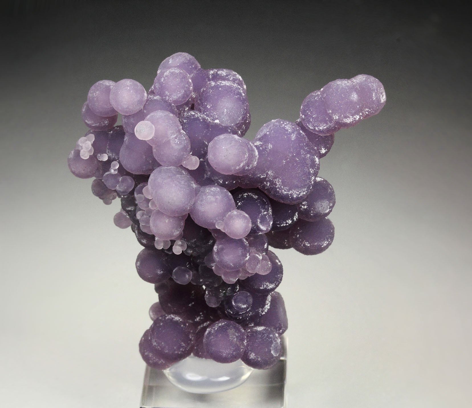 QUARTZ var. AMETHYST - grape agate