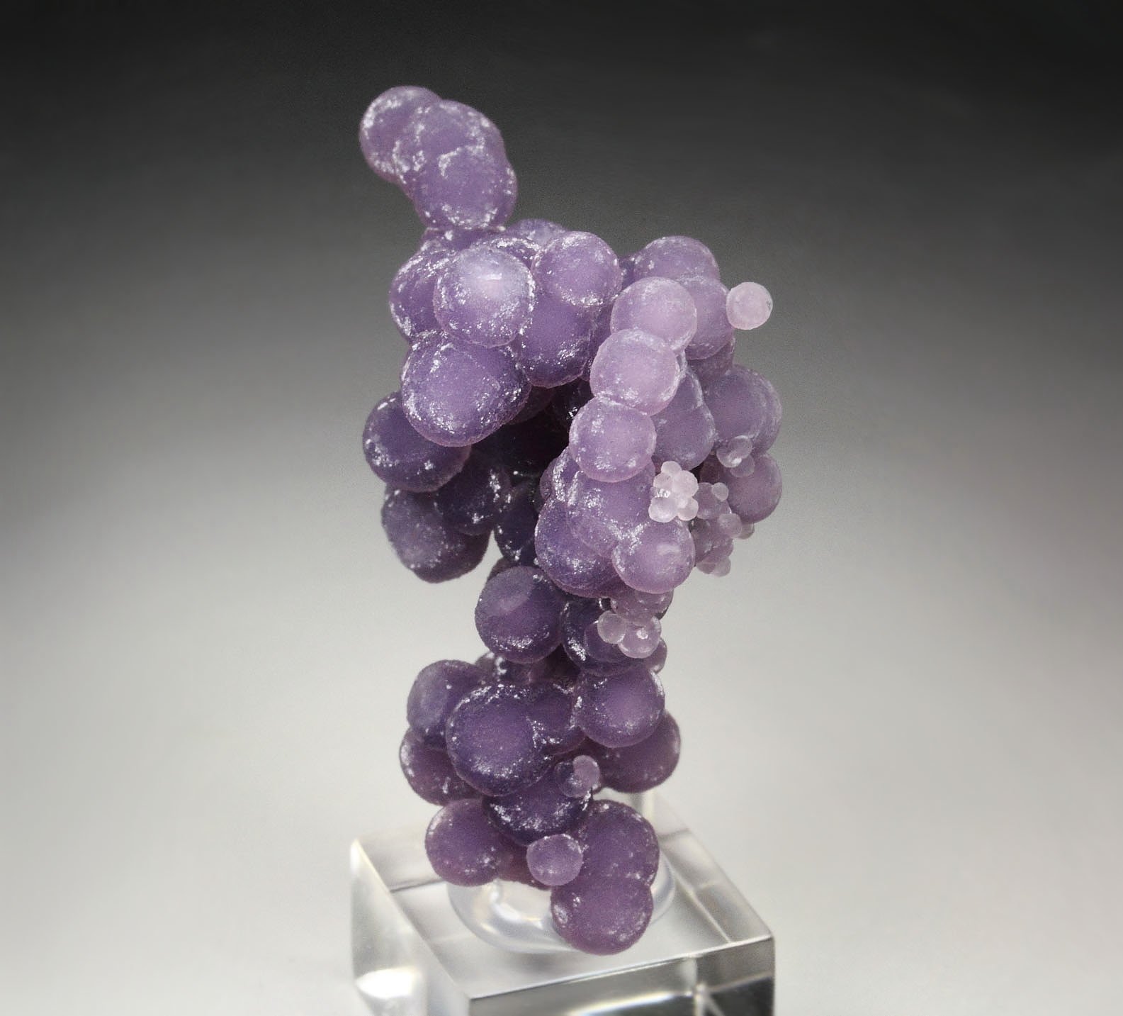 QUARTZ var. AMETHYST - grape agate