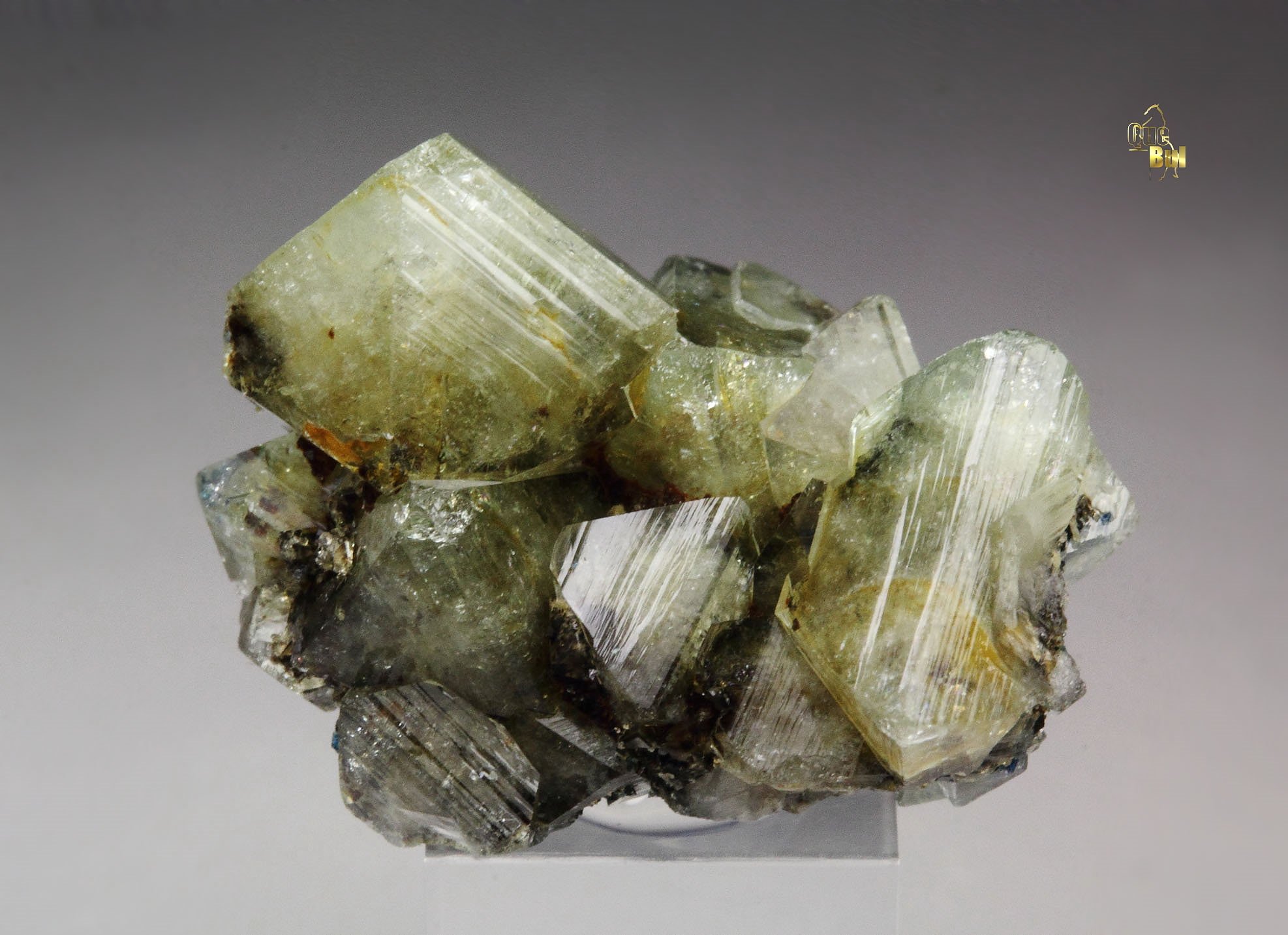 WARDITE