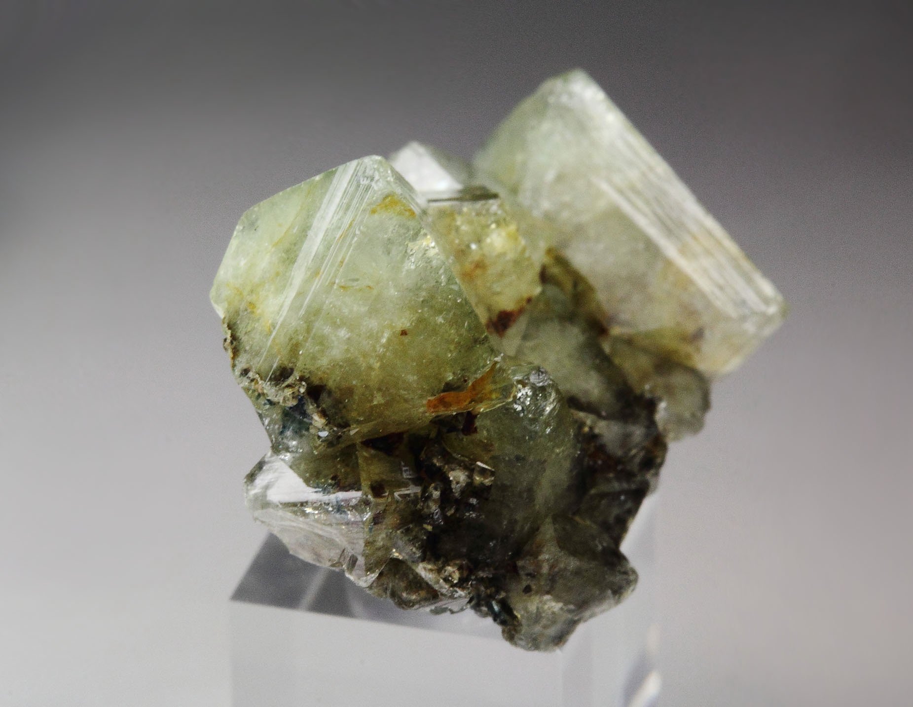 WARDITE