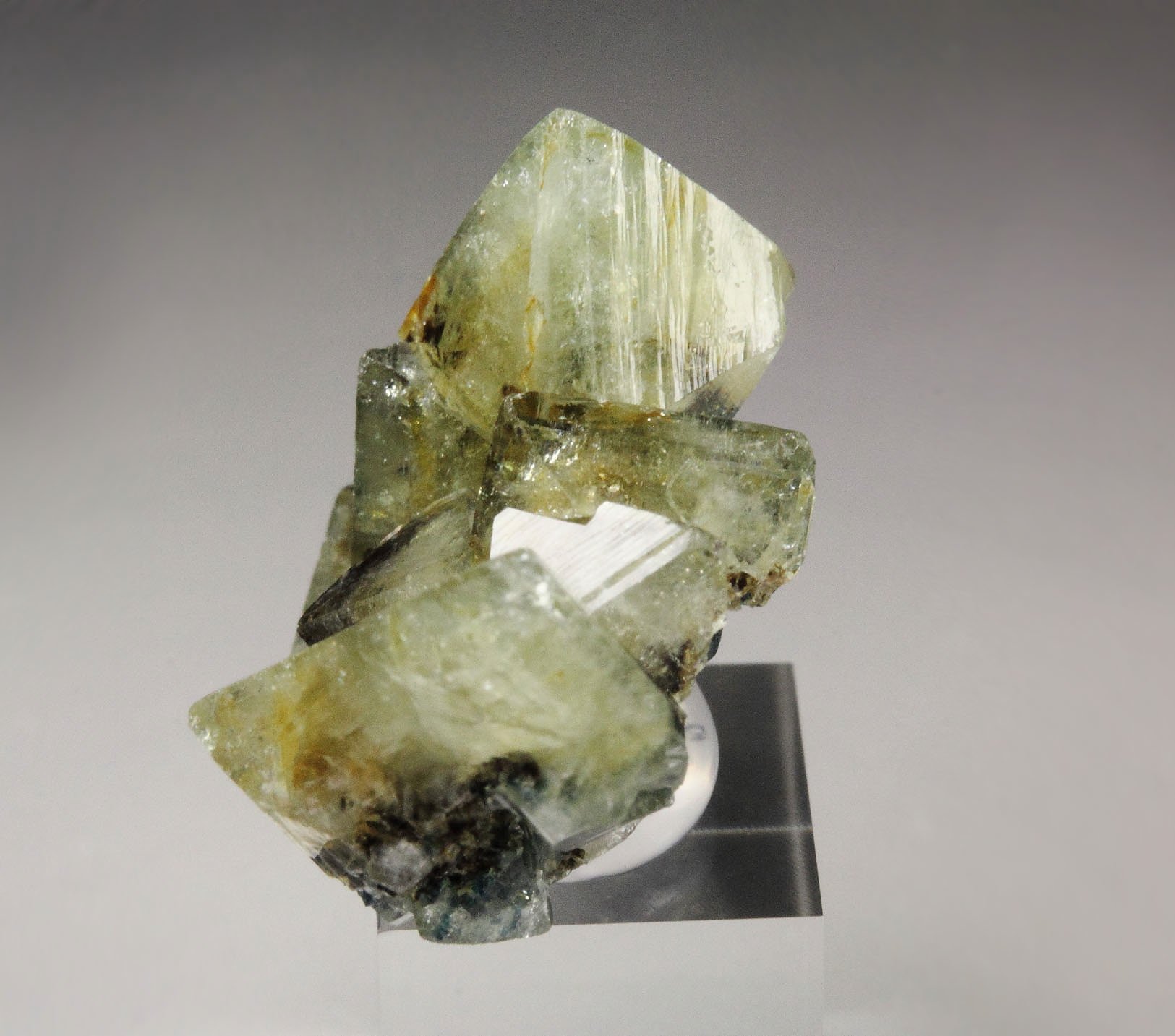 WARDITE