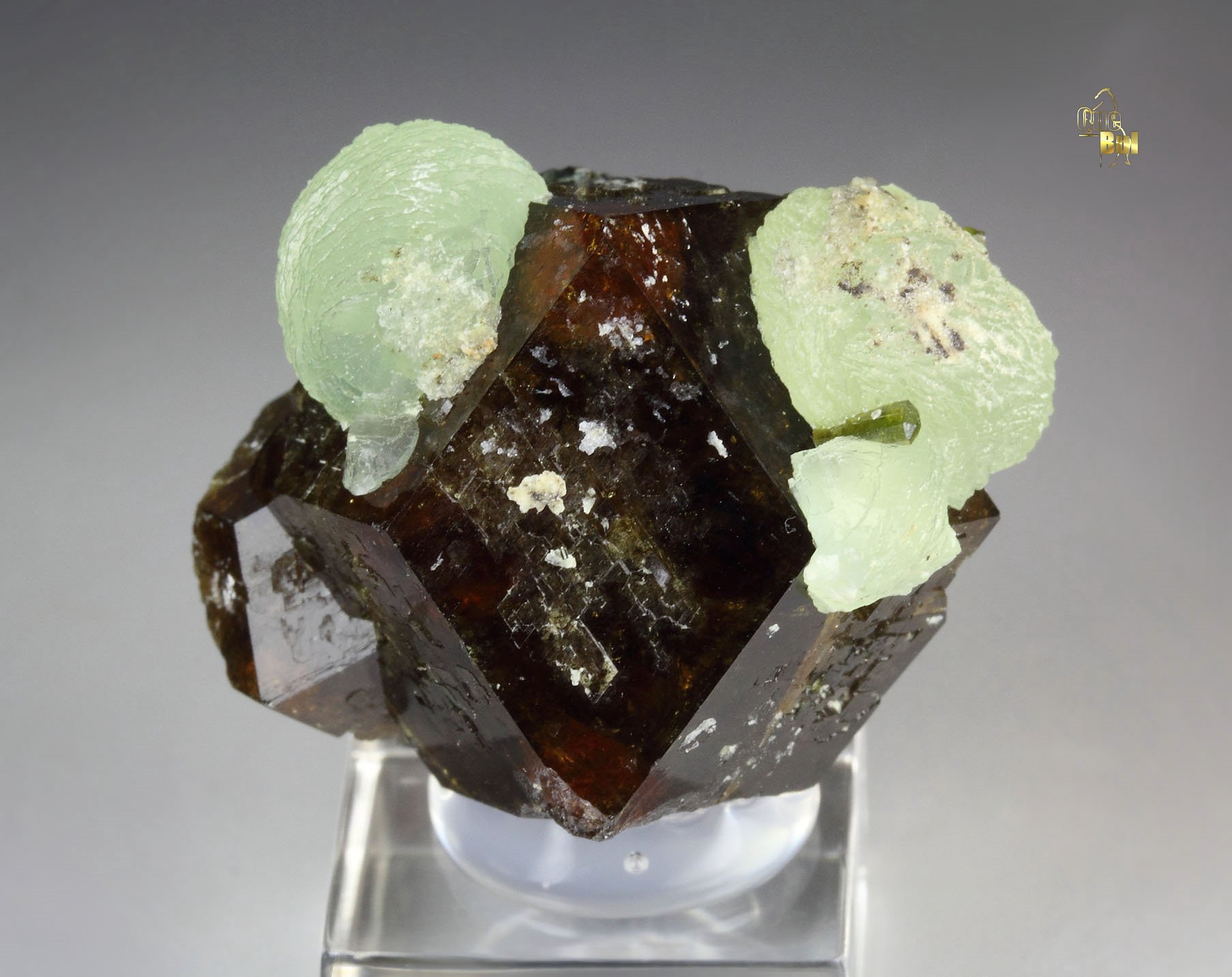 GARNET var. ANDRADITE, PREHNITE, EPIDOTE