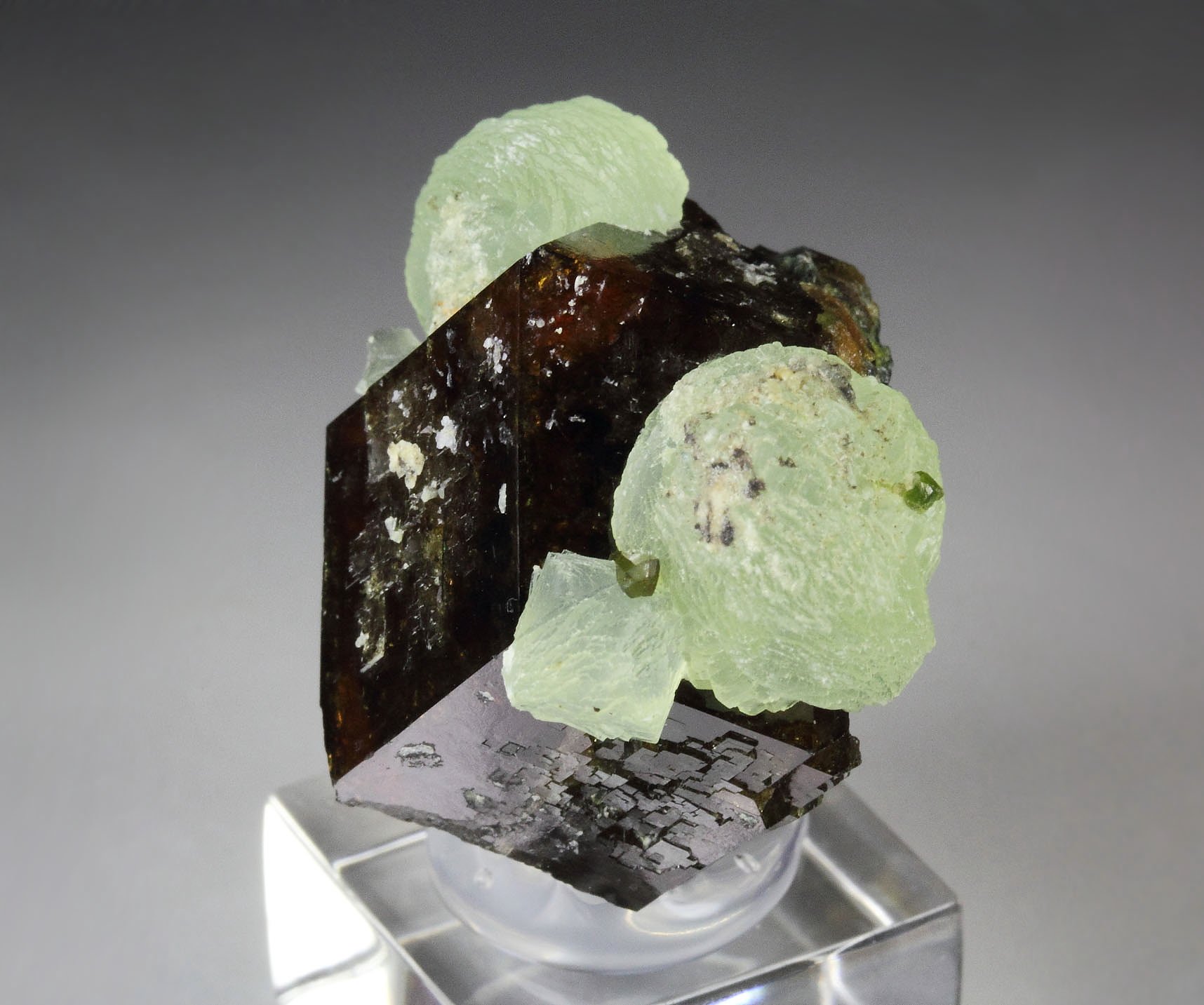 GARNET var. ANDRADITE, PREHNITE, EPIDOTE