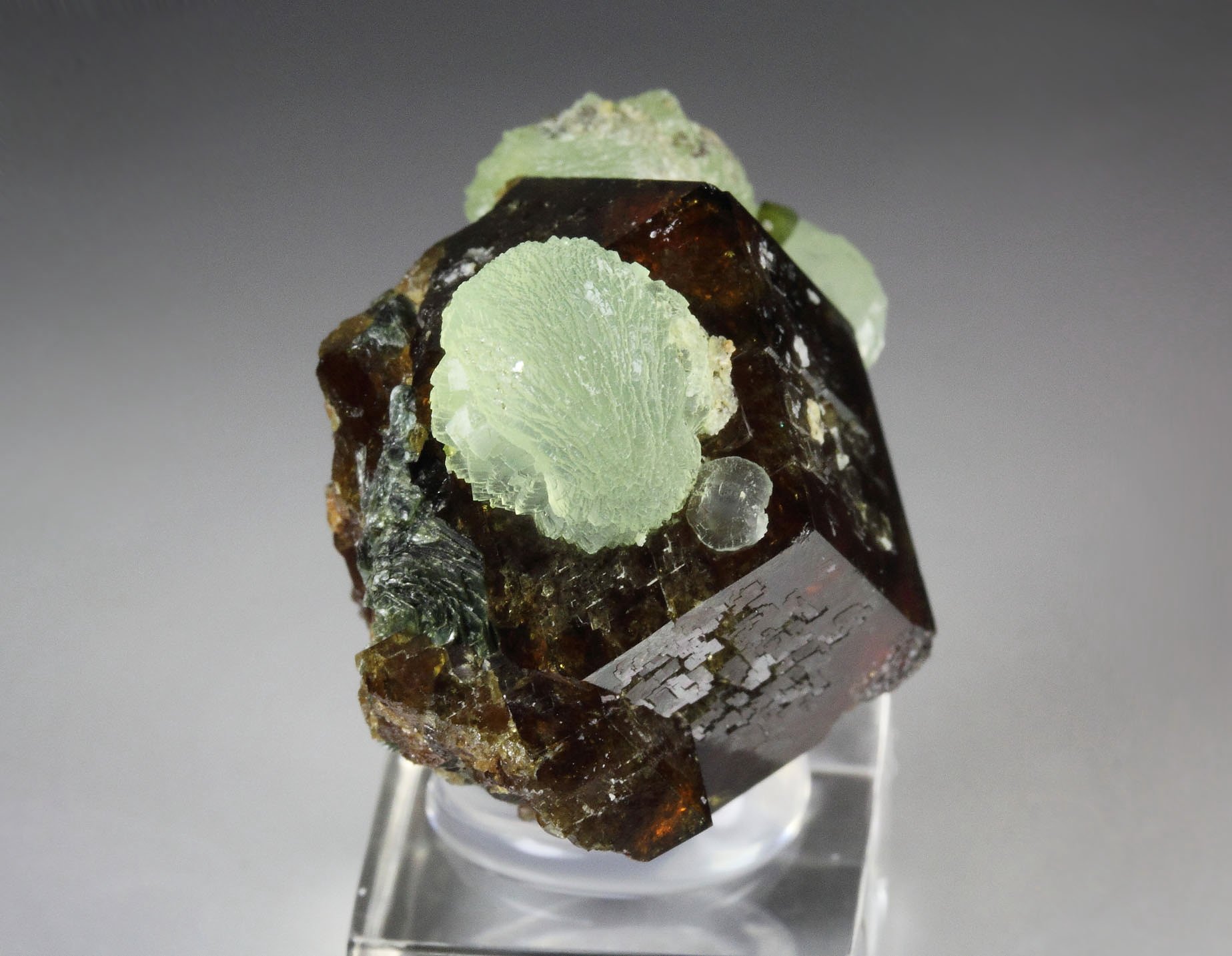 GARNET var. ANDRADITE, PREHNITE, EPIDOTE