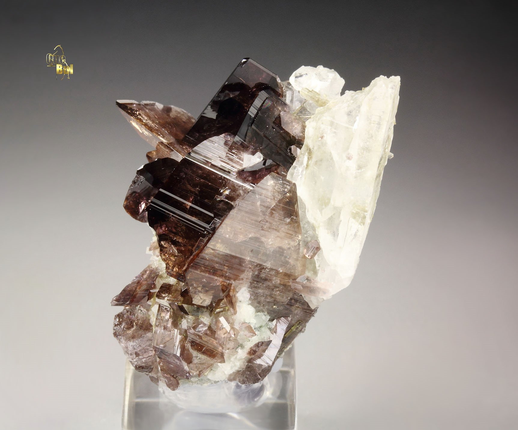 gem AXINITE-Fe, QUARTZ
