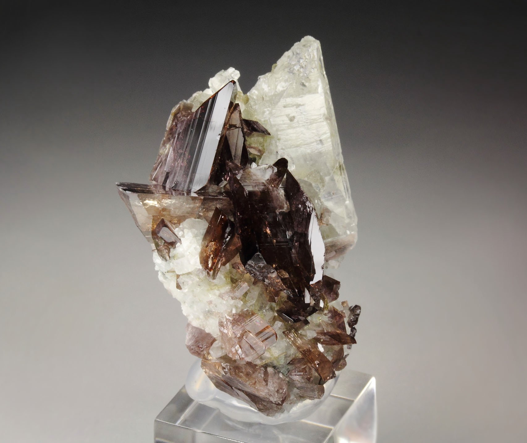 gem AXINITE-Fe, QUARTZ