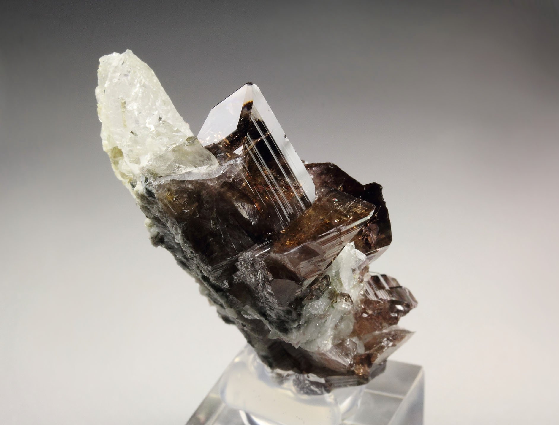 gem AXINITE-Fe, QUARTZ