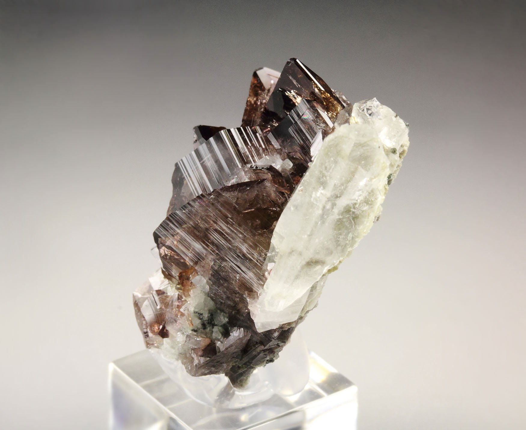 gem AXINITE-Fe, QUARTZ