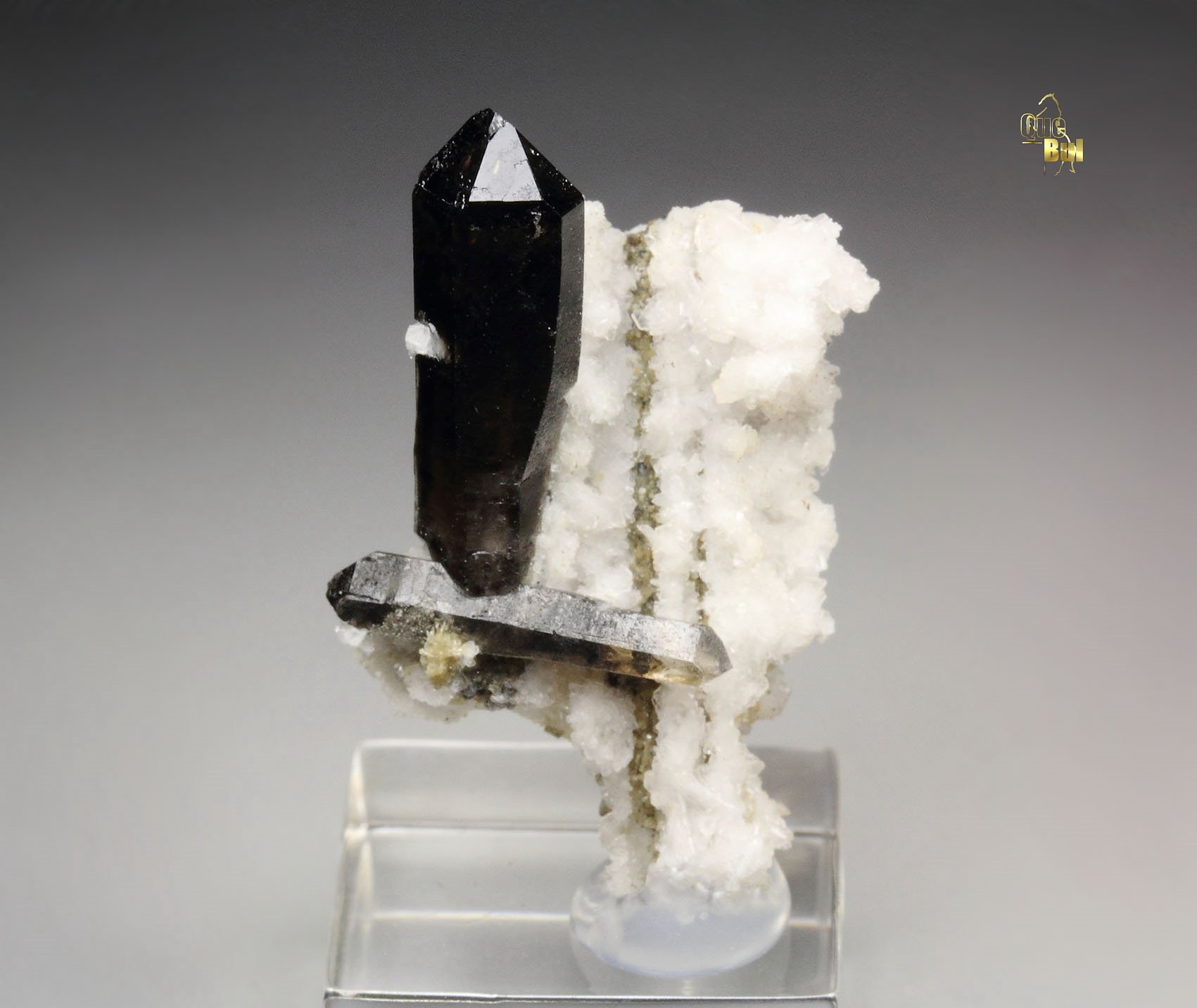 QUARTZ var. SMOKY, ALBITE