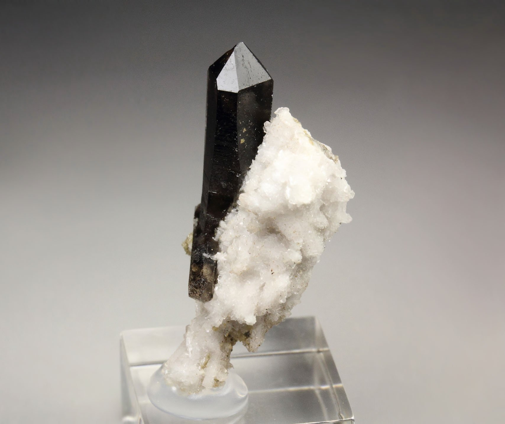 QUARTZ var. SMOKY, ALBITE
