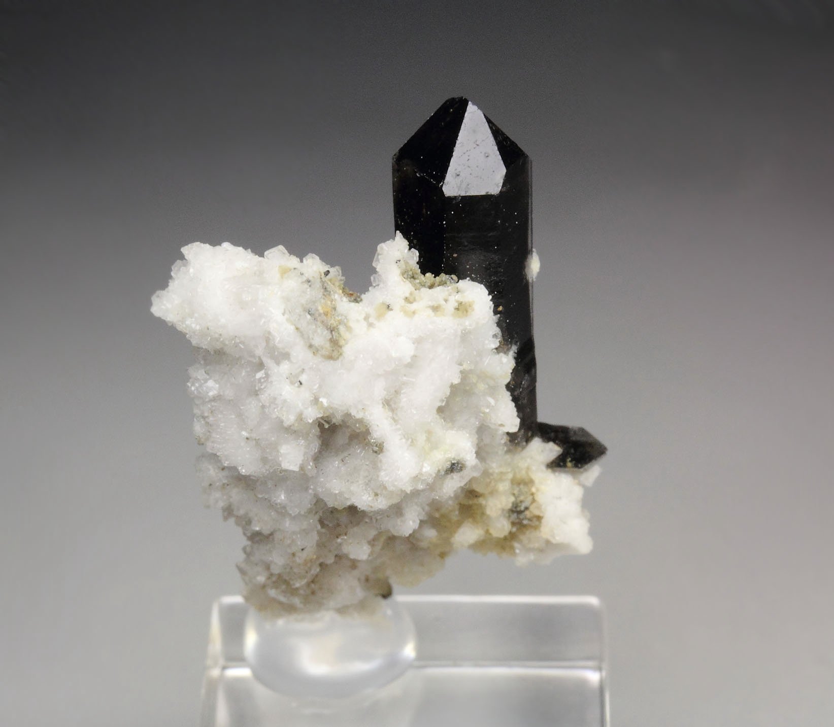 QUARTZ var. SMOKY, ALBITE