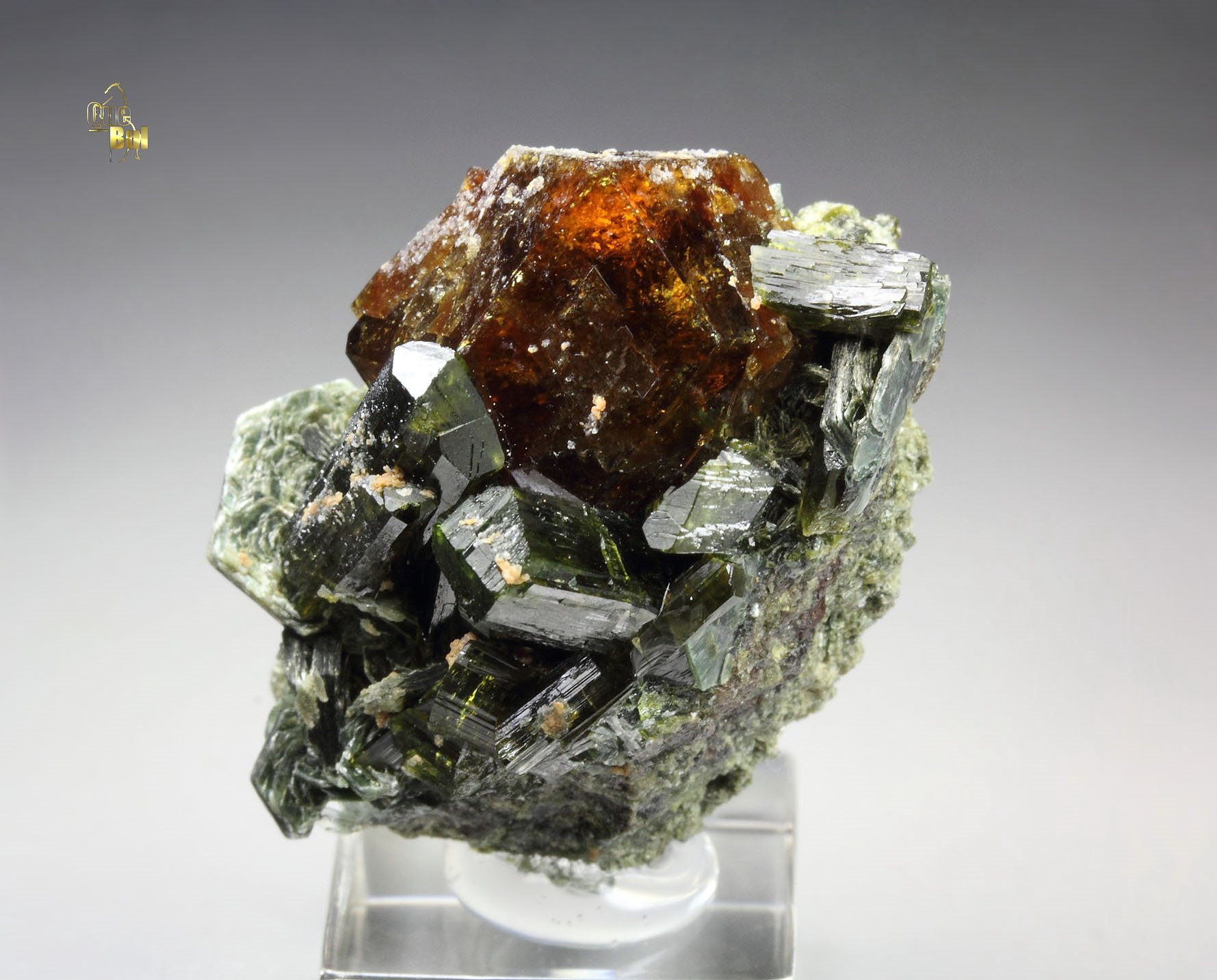 GARNET var. ANDRADITE, EPIDOTE, MUSCOVITE