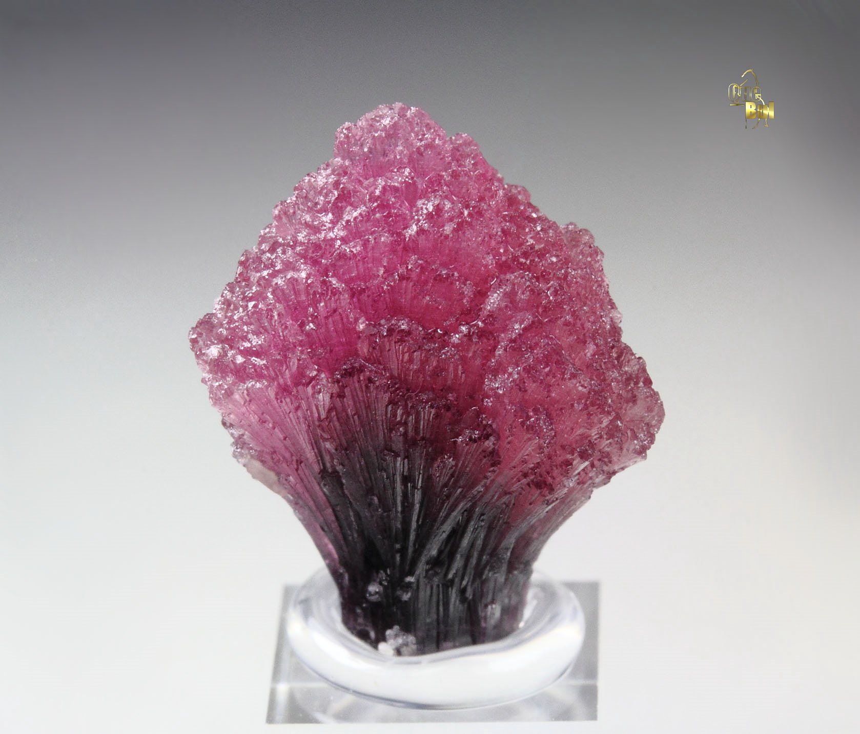 TOURMALINE var. RUBELLITE