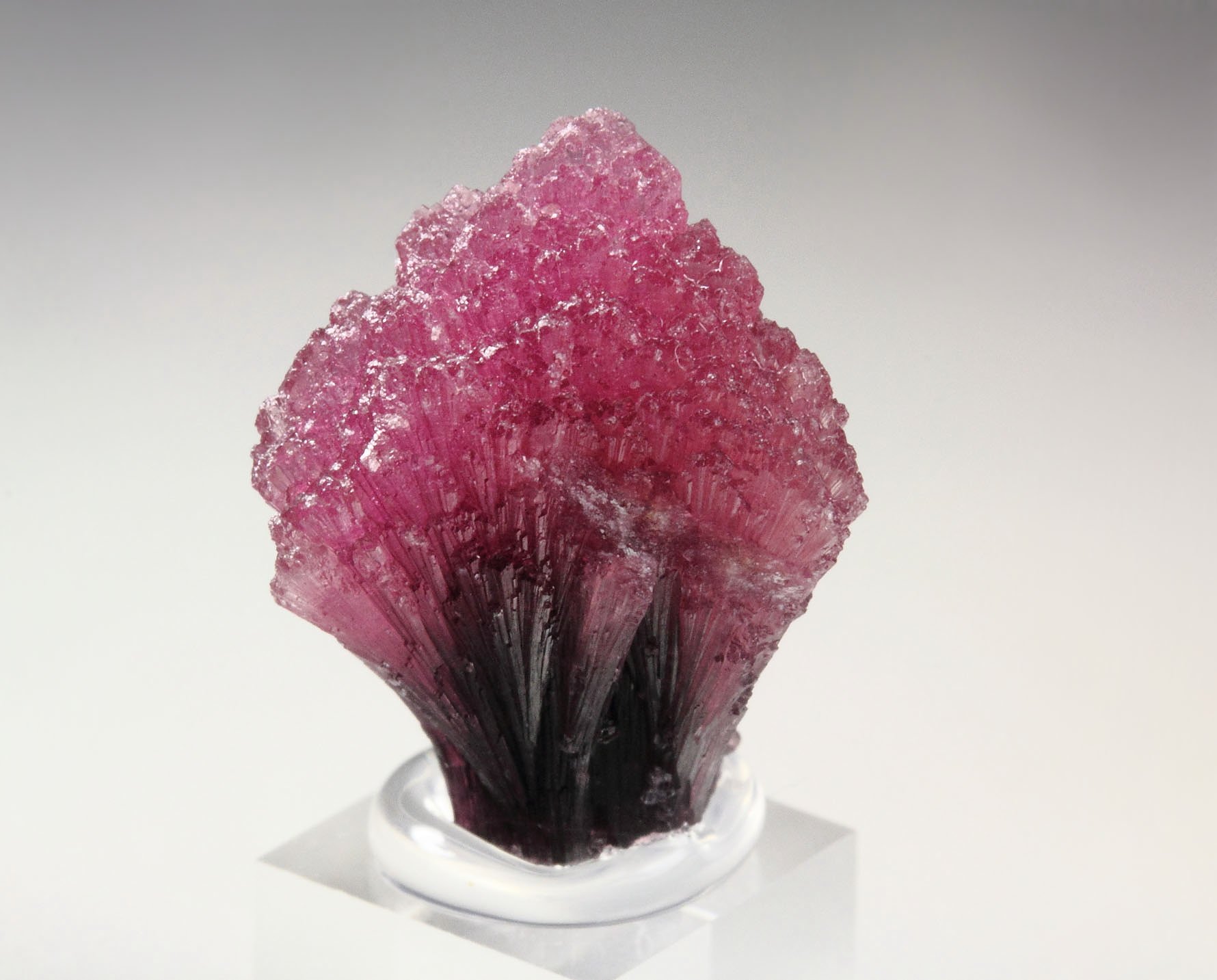 TOURMALINE var. RUBELLITE