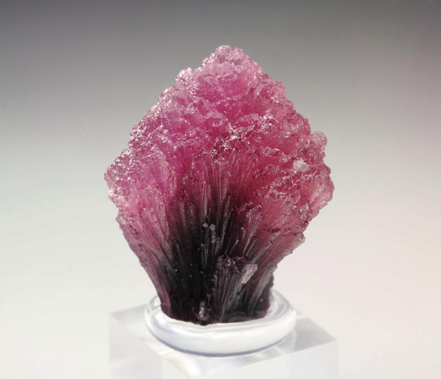 TOURMALINE var. RUBELLITE