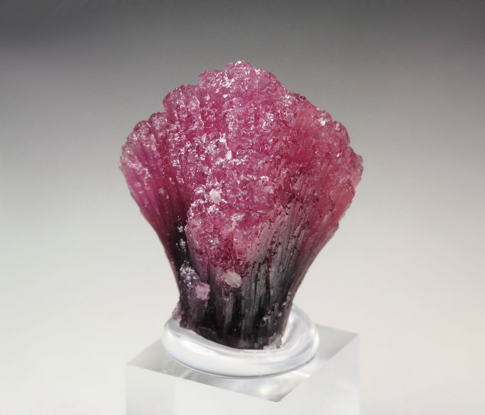 TOURMALINE var. RUBELLITE