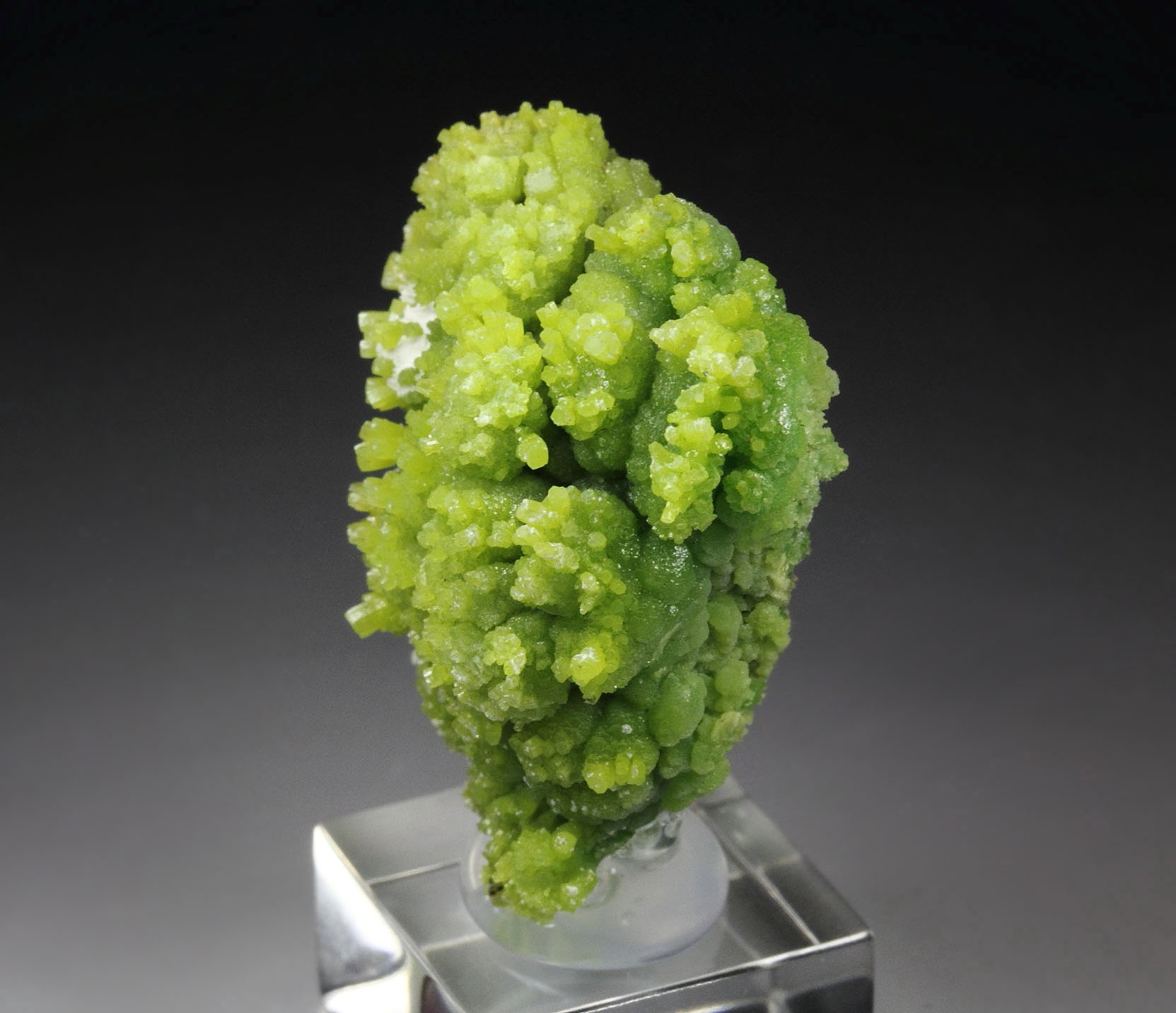 PYROMORPHITE