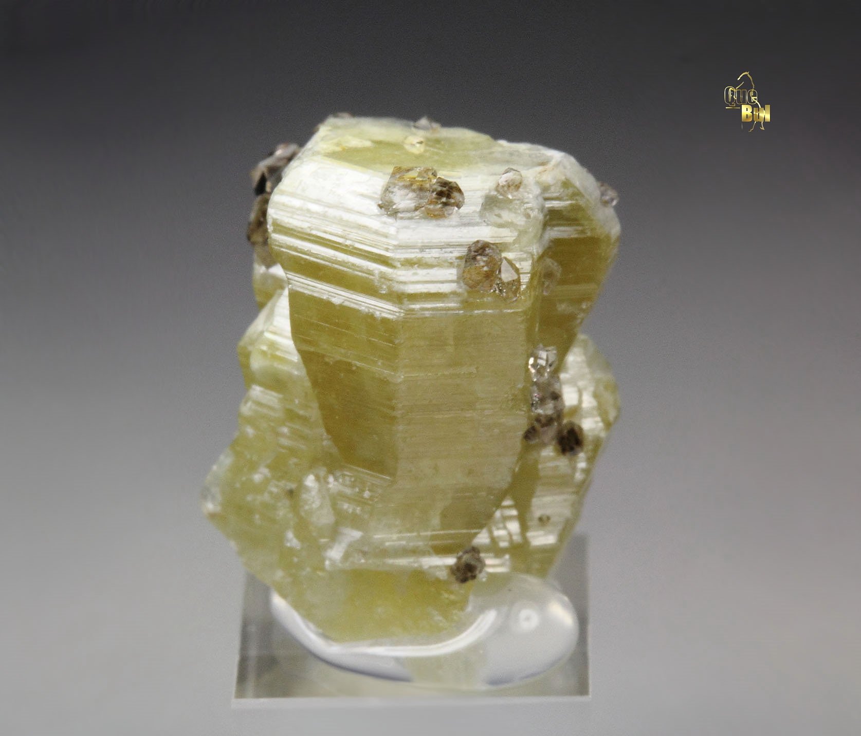 WELOGANITE, QUARTZ var. SMOKY