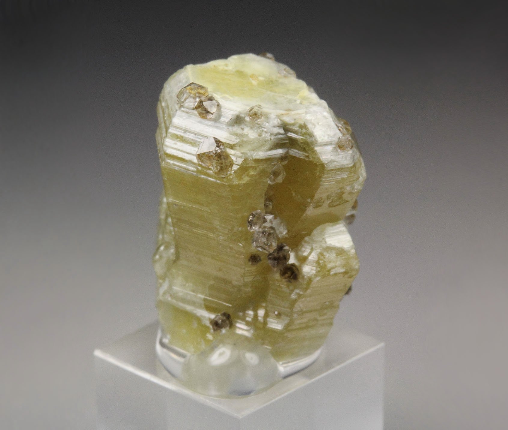 WELOGANITE, QUARTZ var. SMOKY