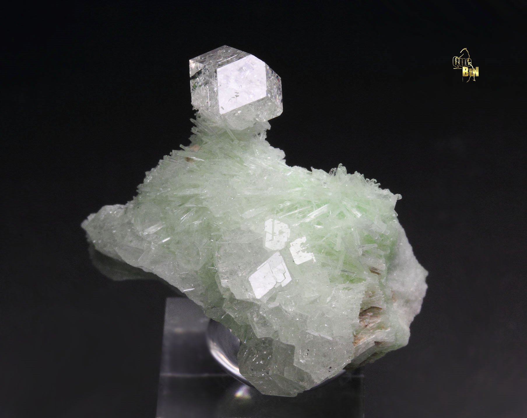 colorless gem GARNET var. GROSSULAR, DIOPSIDE